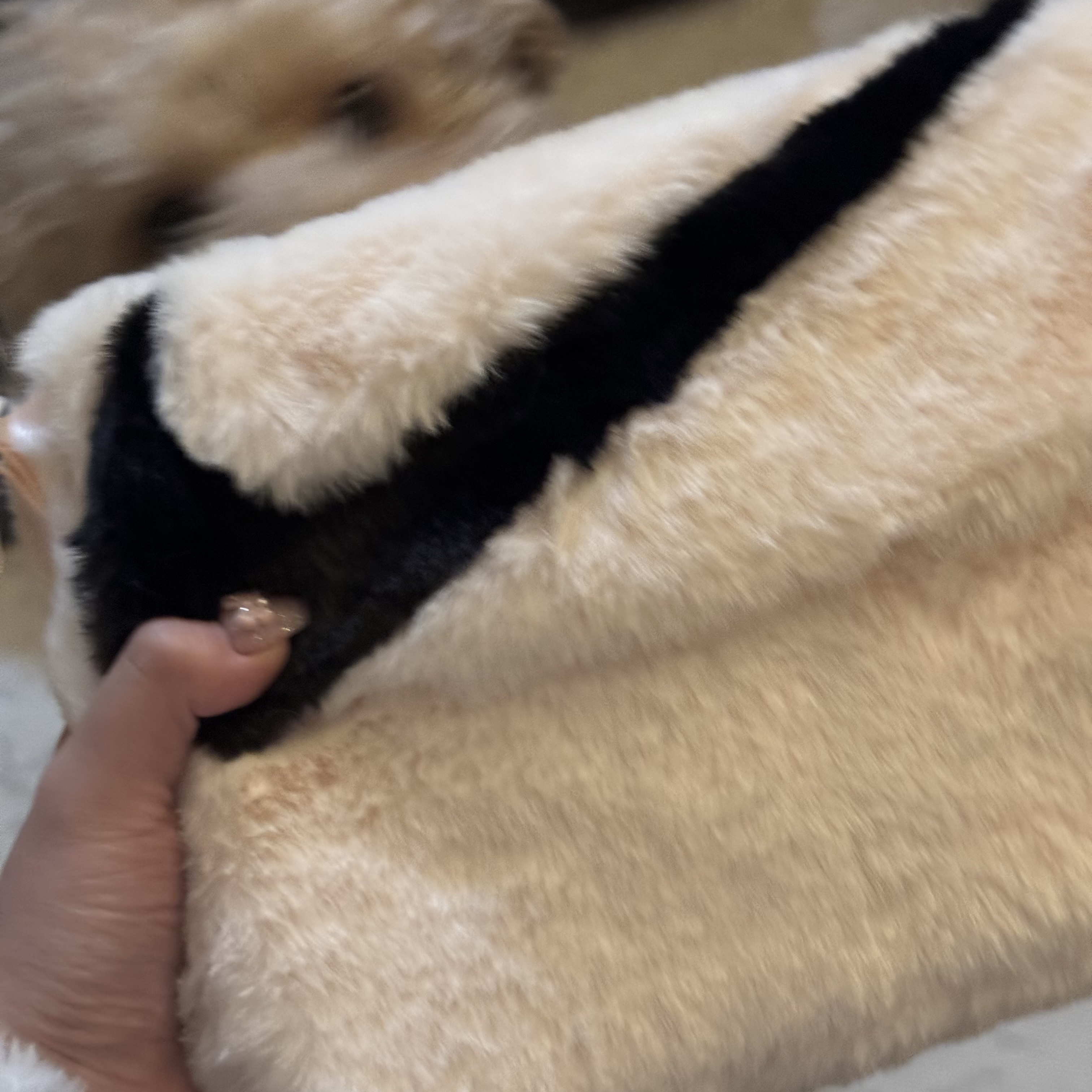 Nike NSW Futura 365 Faux Fur Crossbody Bag 1L White 착용 스타일