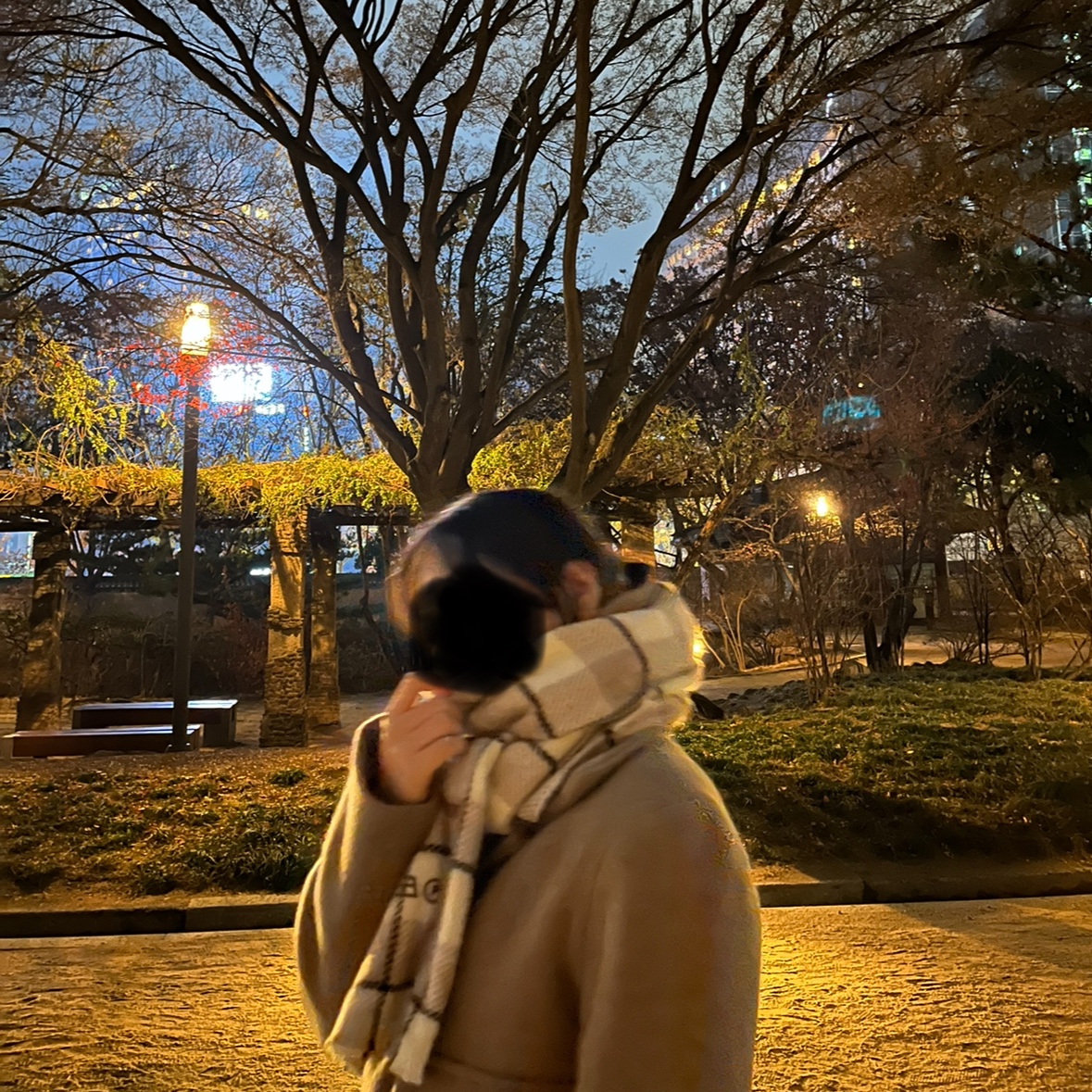 Acne Studios Checked Wool Muffler Oat Beige Brown 착용 스타일 - 1