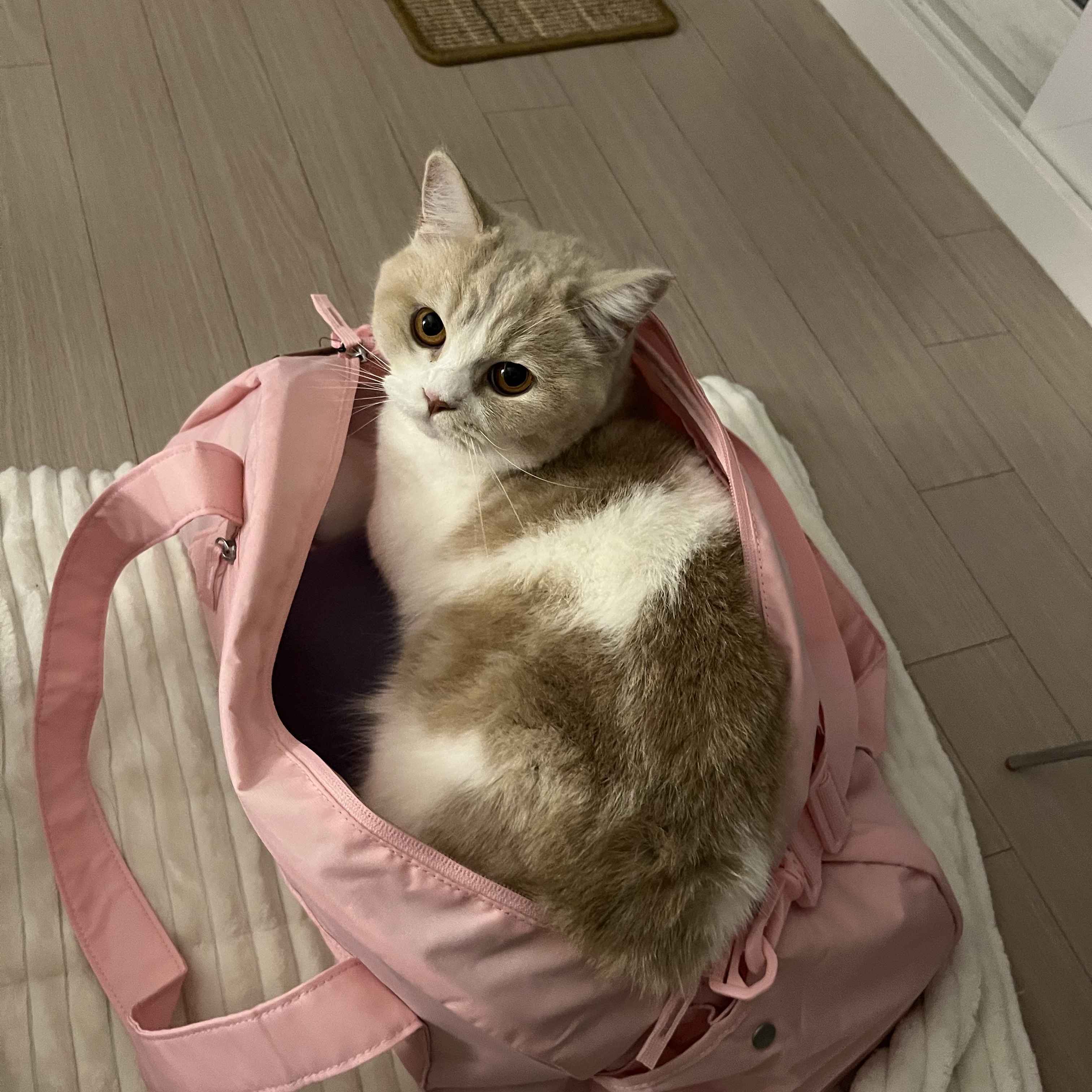 Nike Gym Club Duffle Bag 24L Medium Soft Pink 착용 스타일
