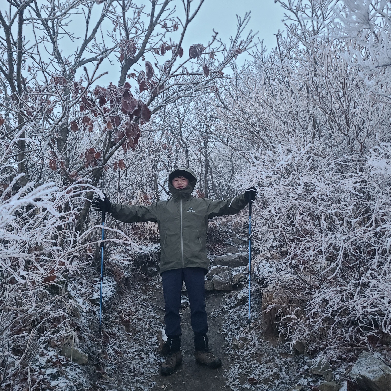 Arc'teryx Beta LT Jacket Tatsu 착용 스타일 - 3