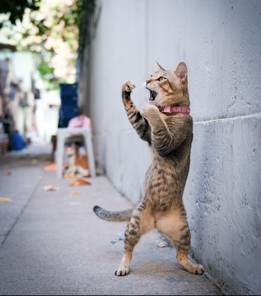 관심 유저 프로필 이미지
