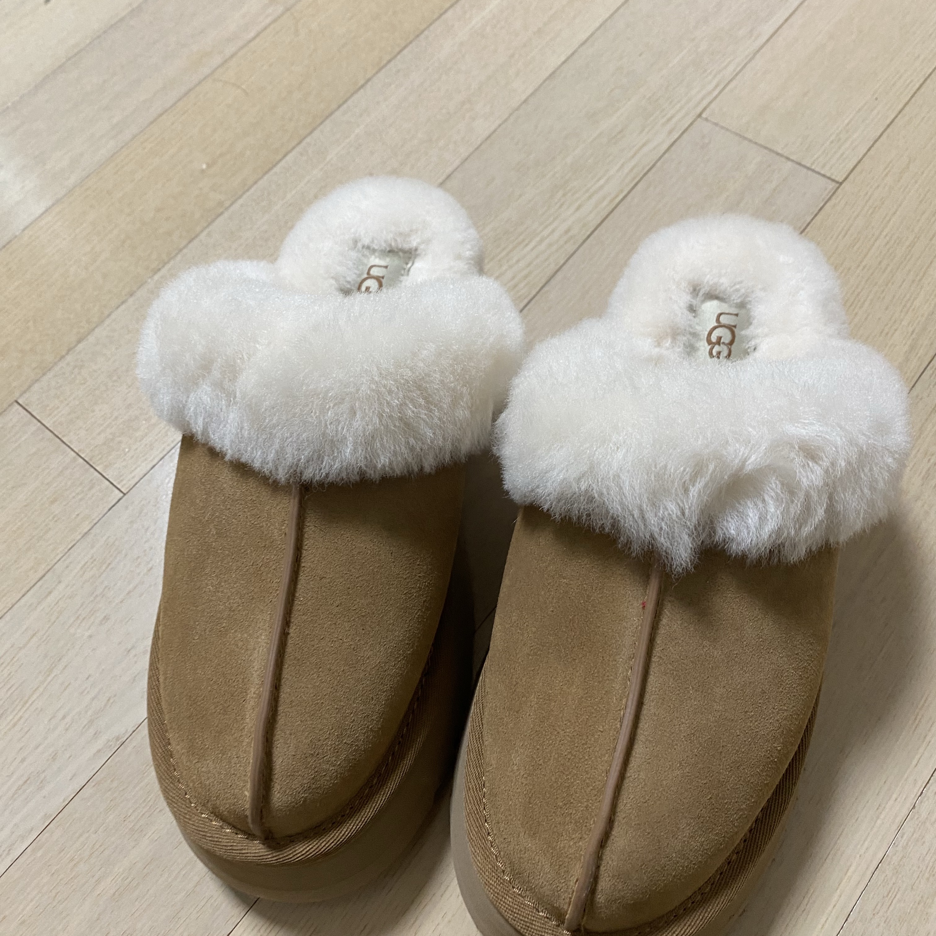 (W) UGG Disquette Slipper Chestnut 착용 스타일 - 1