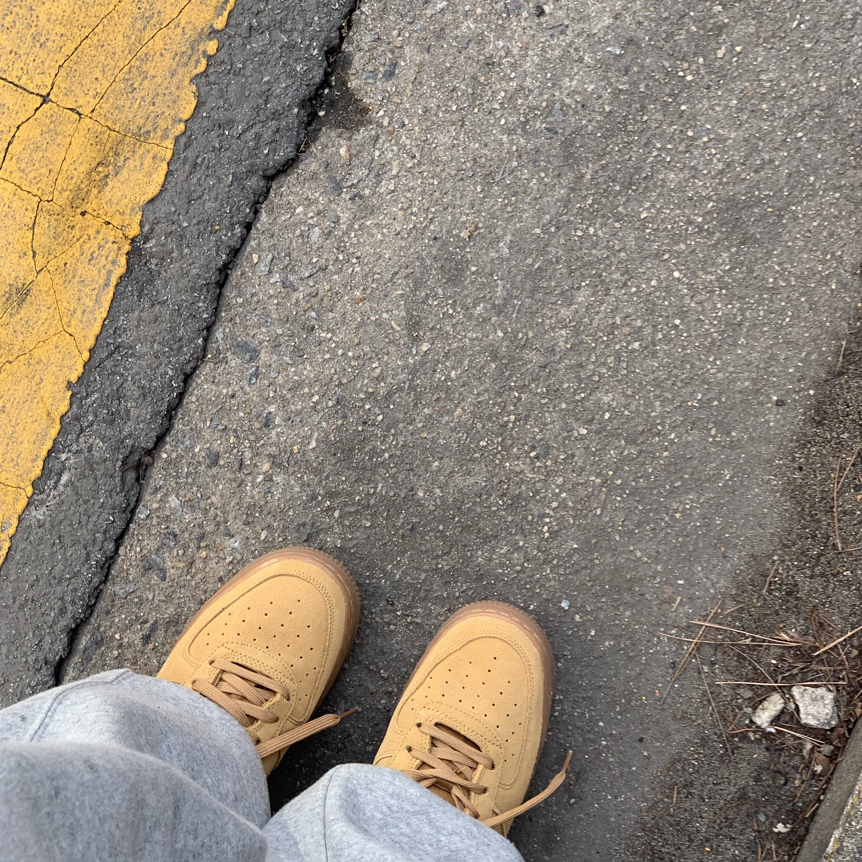 (GS) Nike Air Force 1 LV8 3 Wheat 착용 스타일
