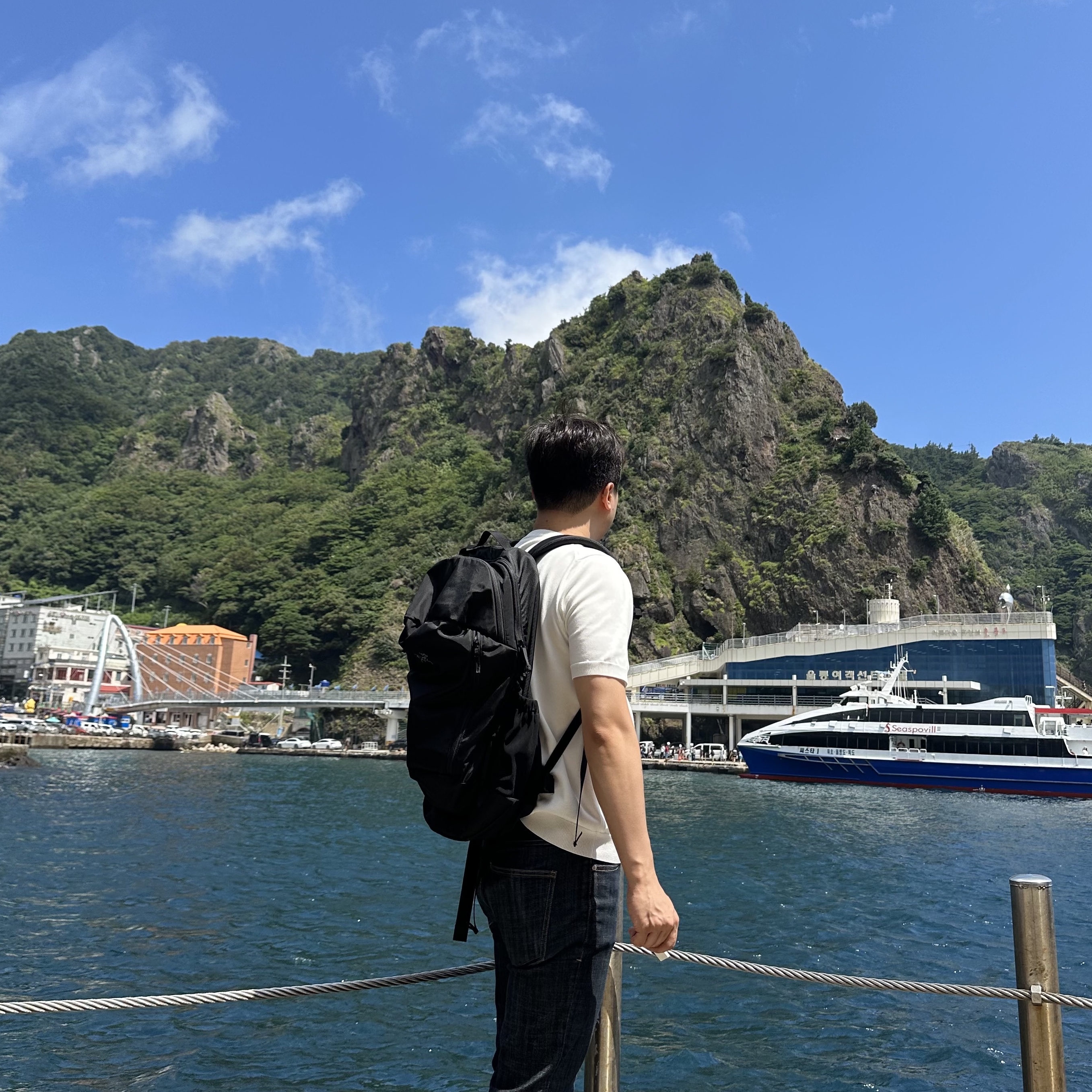 Arc'teryx Mantis 32 Backpack Black 착용 스타일