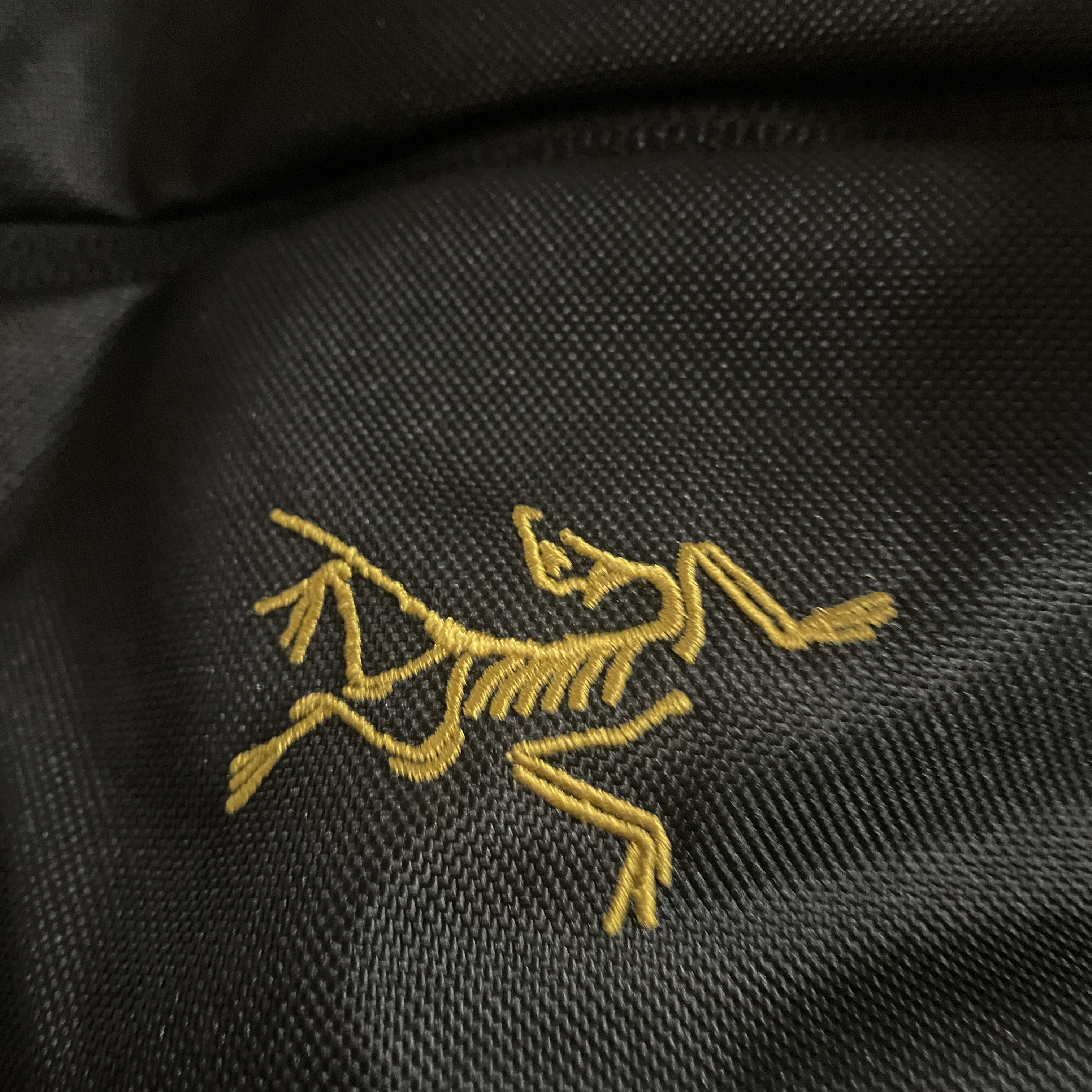 Arc'teryx Mantis 2 Waistpack 24K Black 착용 스타일