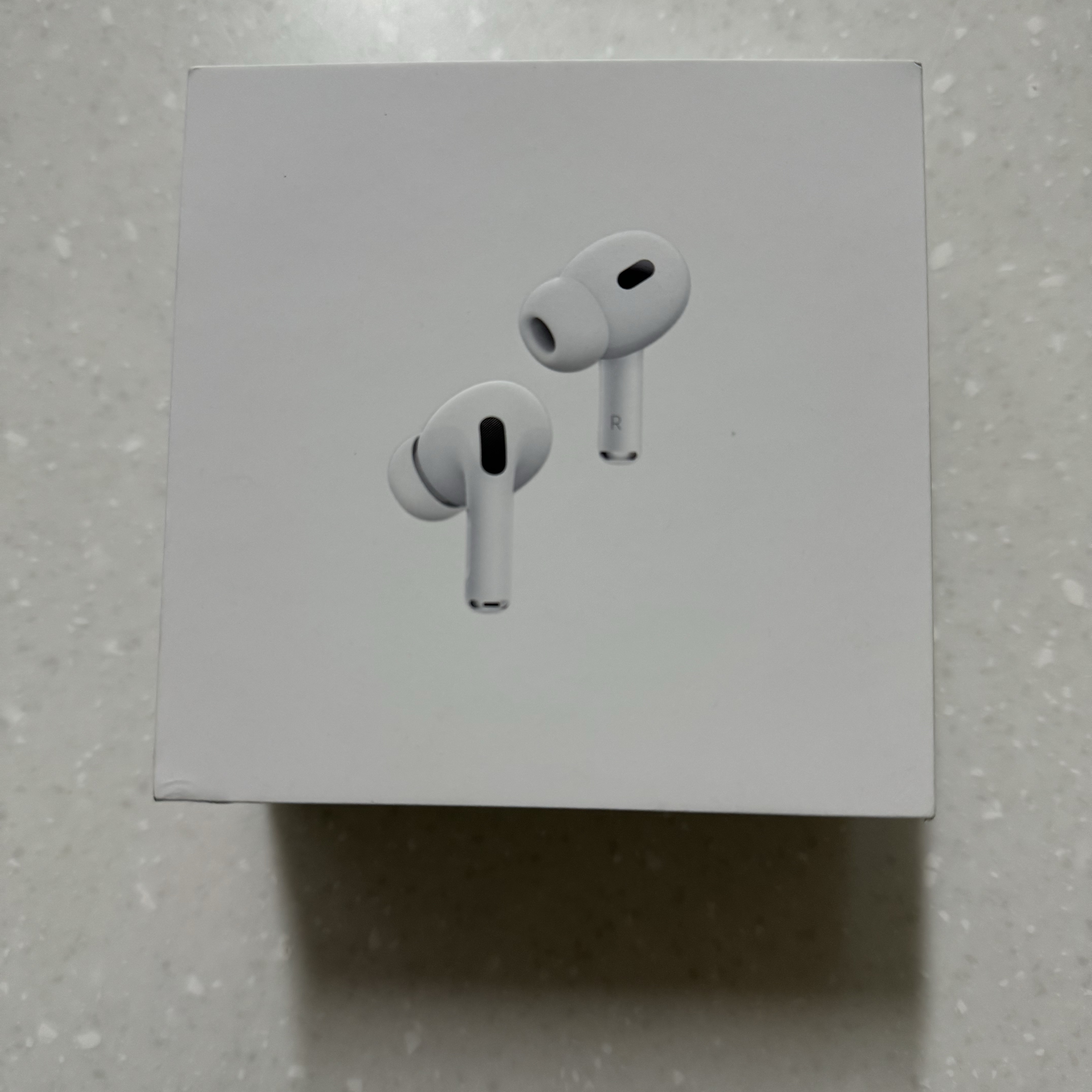 Apple Airpods Pro 2nd Gen with MagSafe Charging Case USB C (Korean Ver.) 착용 스타일