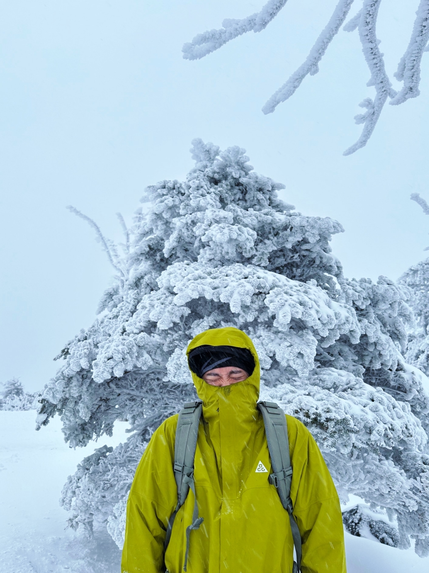 Nike ACG Storm-Fit ADV Cascade Rains Full Zip Jacket Moss - Asia 착용 스타일