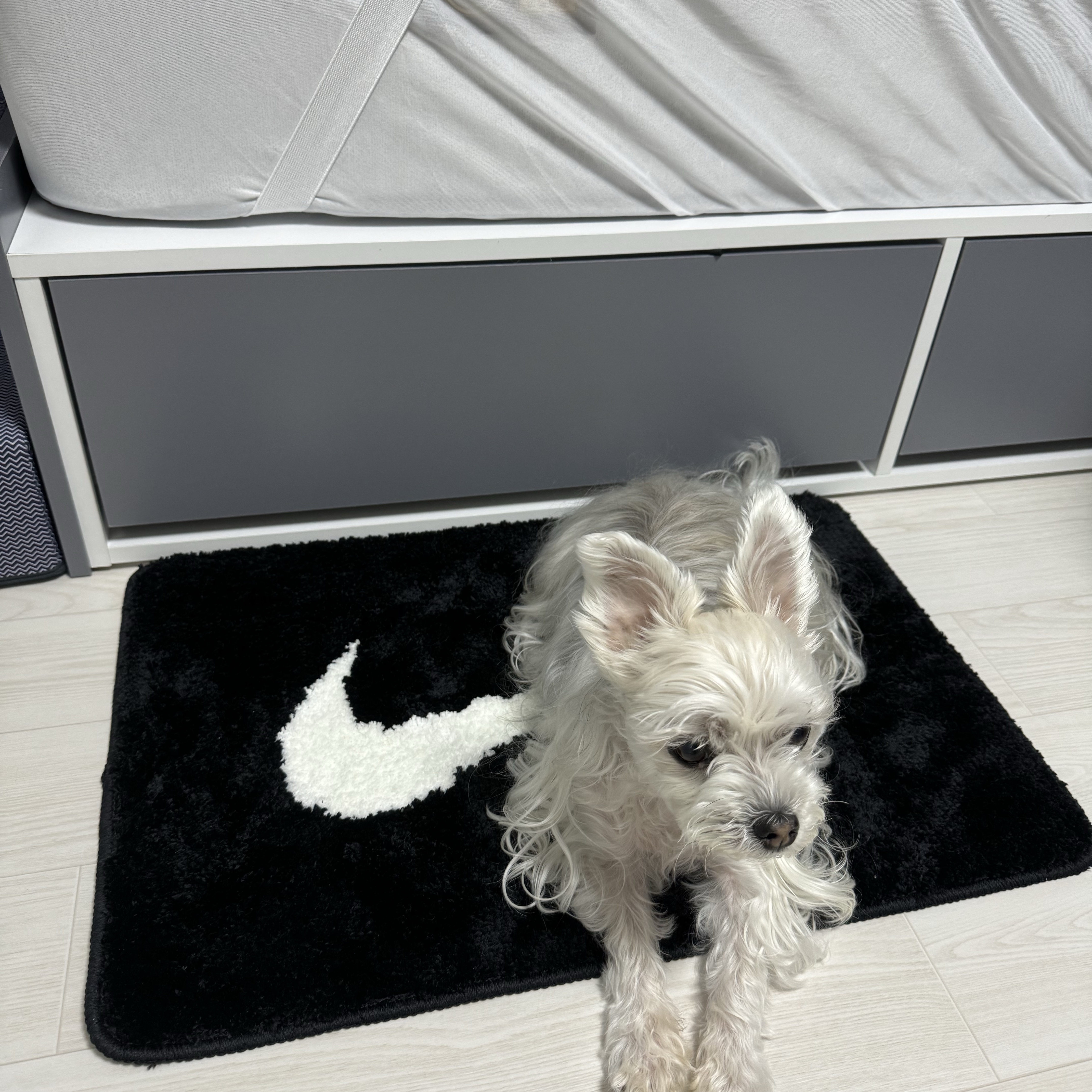 Nike Swoosh Rug Black White 착용 스타일