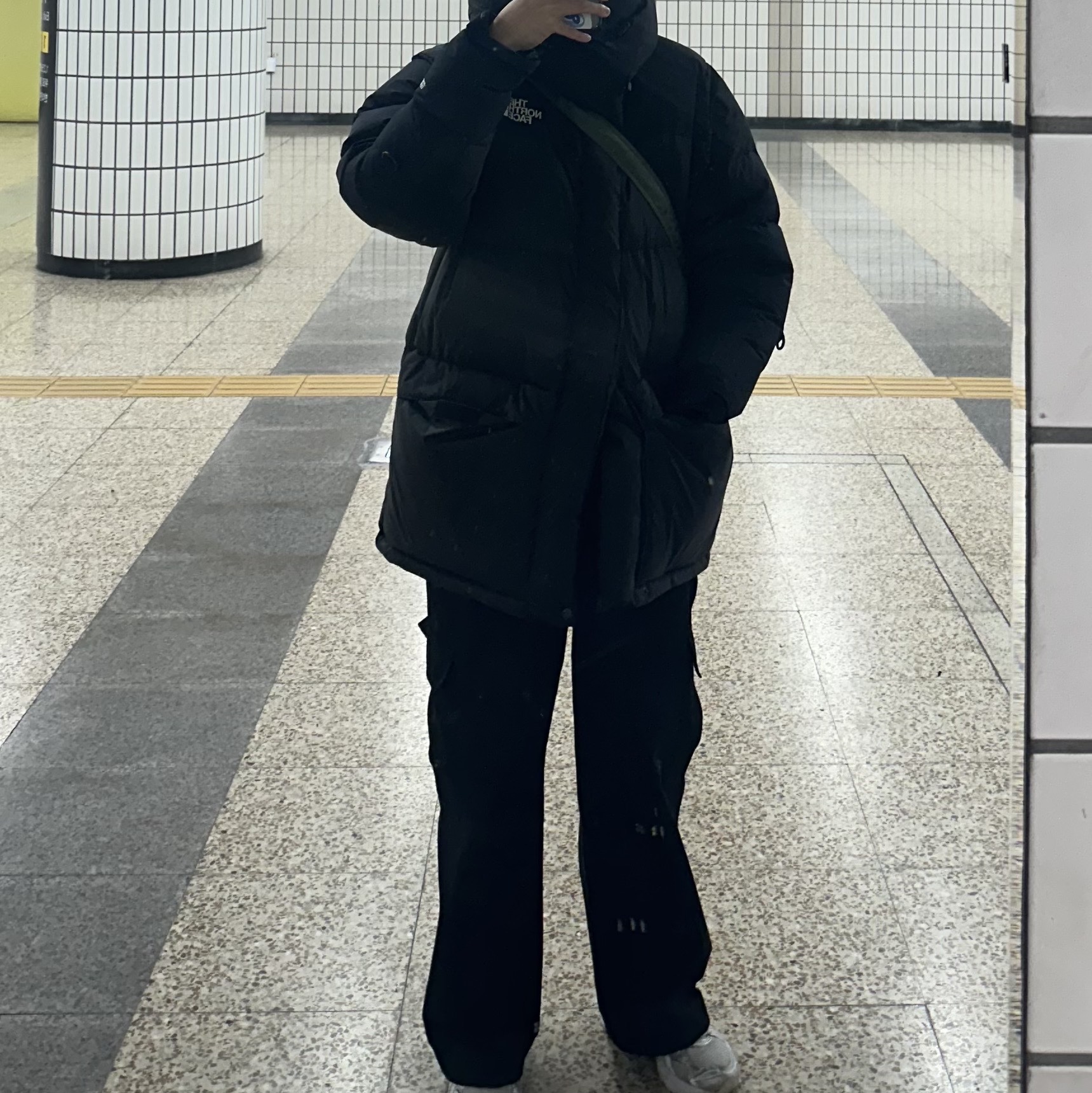 The North Face Him Down Parka Black, Porter Tanker Shoulder Bag L Sage Green 착용 스타일