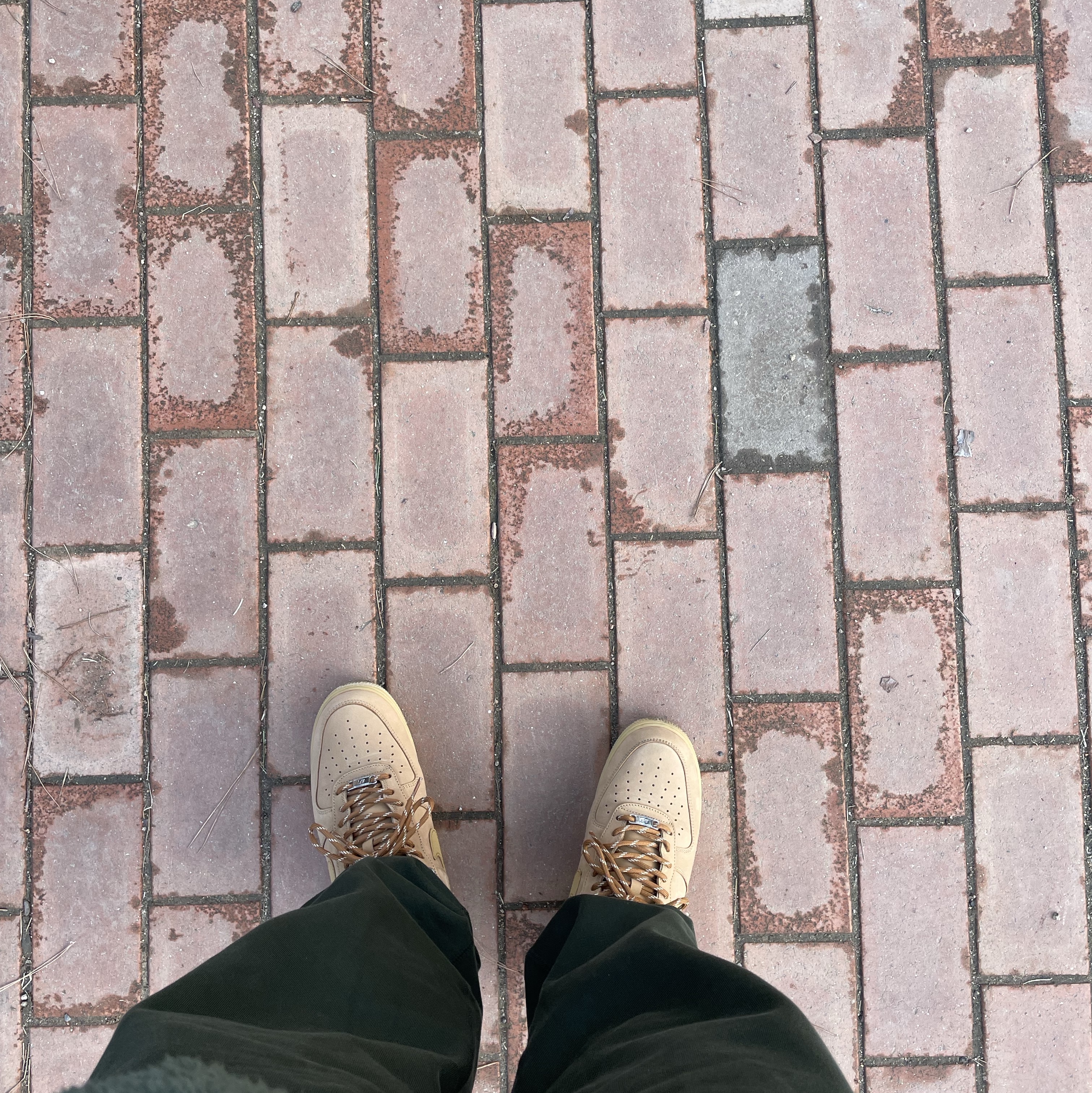 Nike Air Force 1 '07 WB Flax 착용 스타일