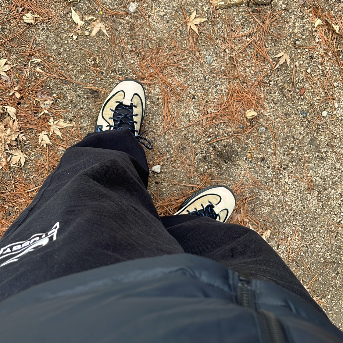 Nike x Stussy NRG Washed Fleece Pants Black (DO5296-010), Nike x Stussy Air Penny II Rattan and Limestone 착용 스타일