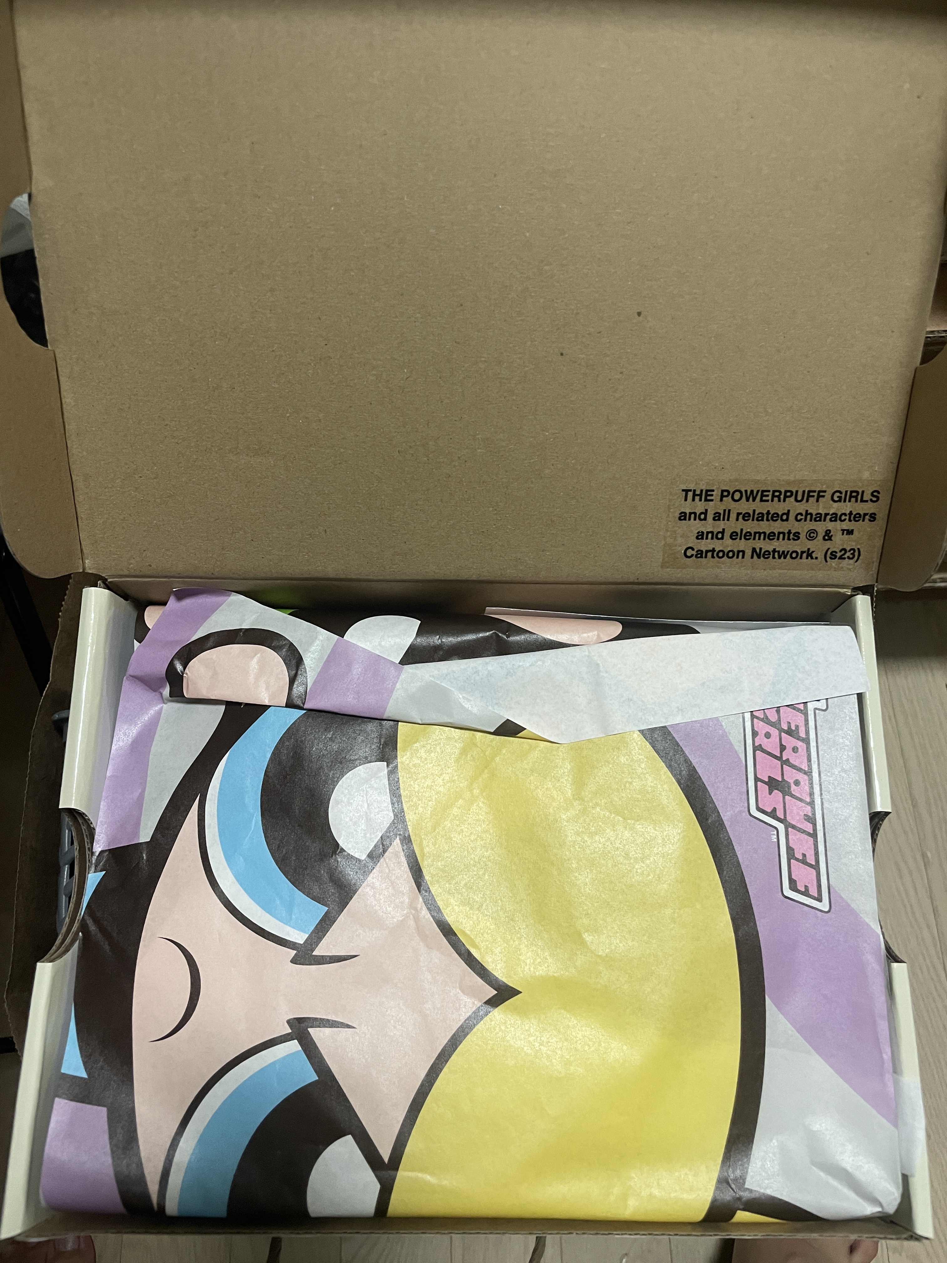 (PS) Nike x The Powerpuff Girls SB Dunk Low Pro QS Bubbles 착용 스타일 - 2