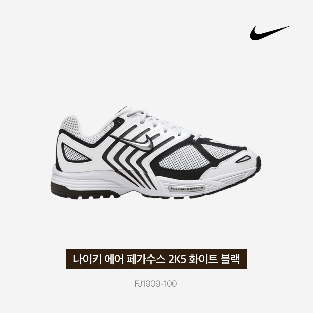 Nike Air Pegasus 2K5 White Black 착용 스타일 - 4