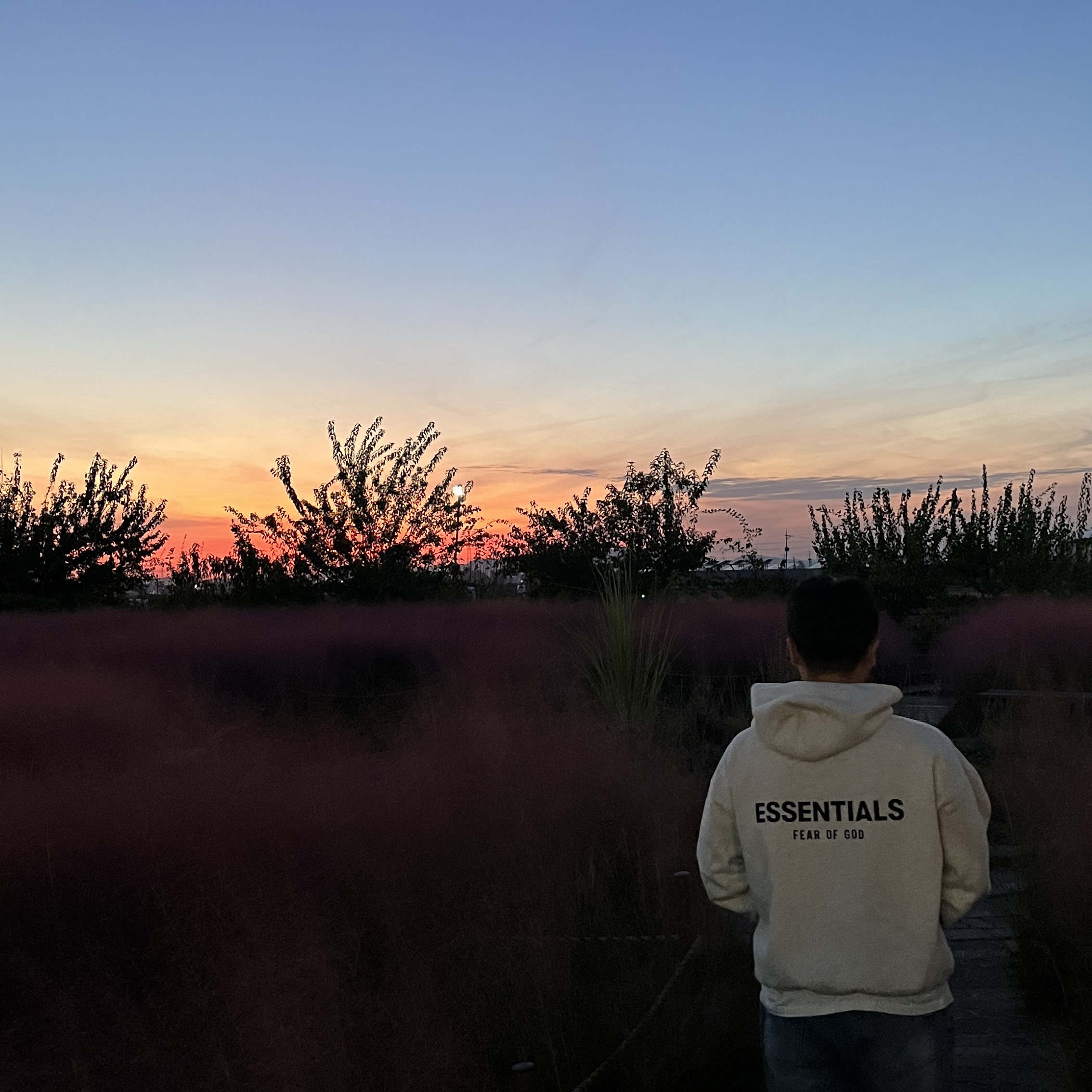 Essentials The Core Collection Hoodie Light Oatmeal 착용 스타일