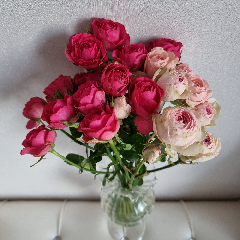 관심 유저 프로필 이미지