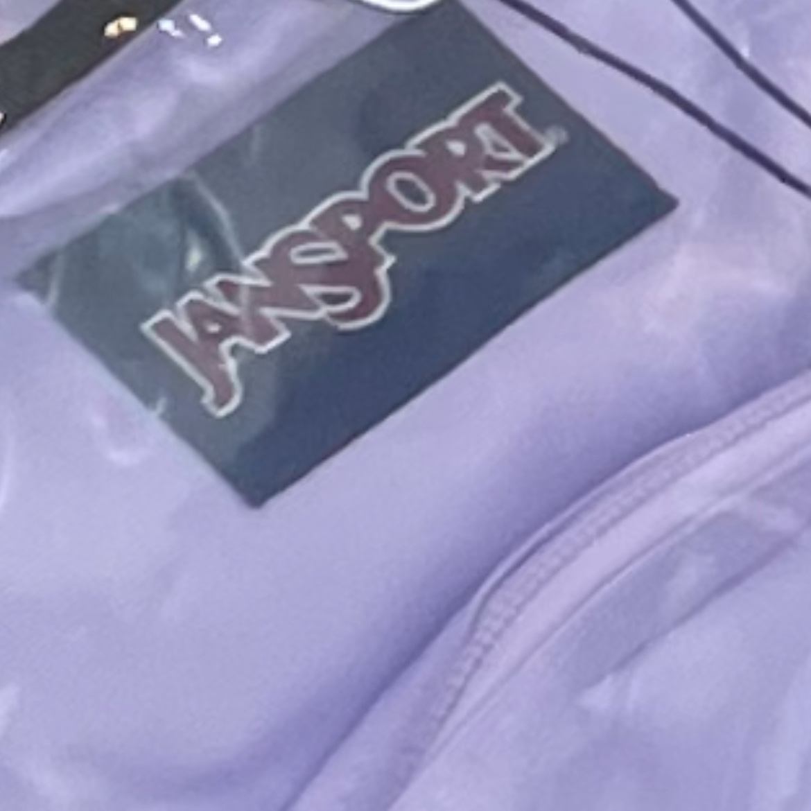 Jansport Half Pint Mini Backpack Pastel Lilac 착용 스타일