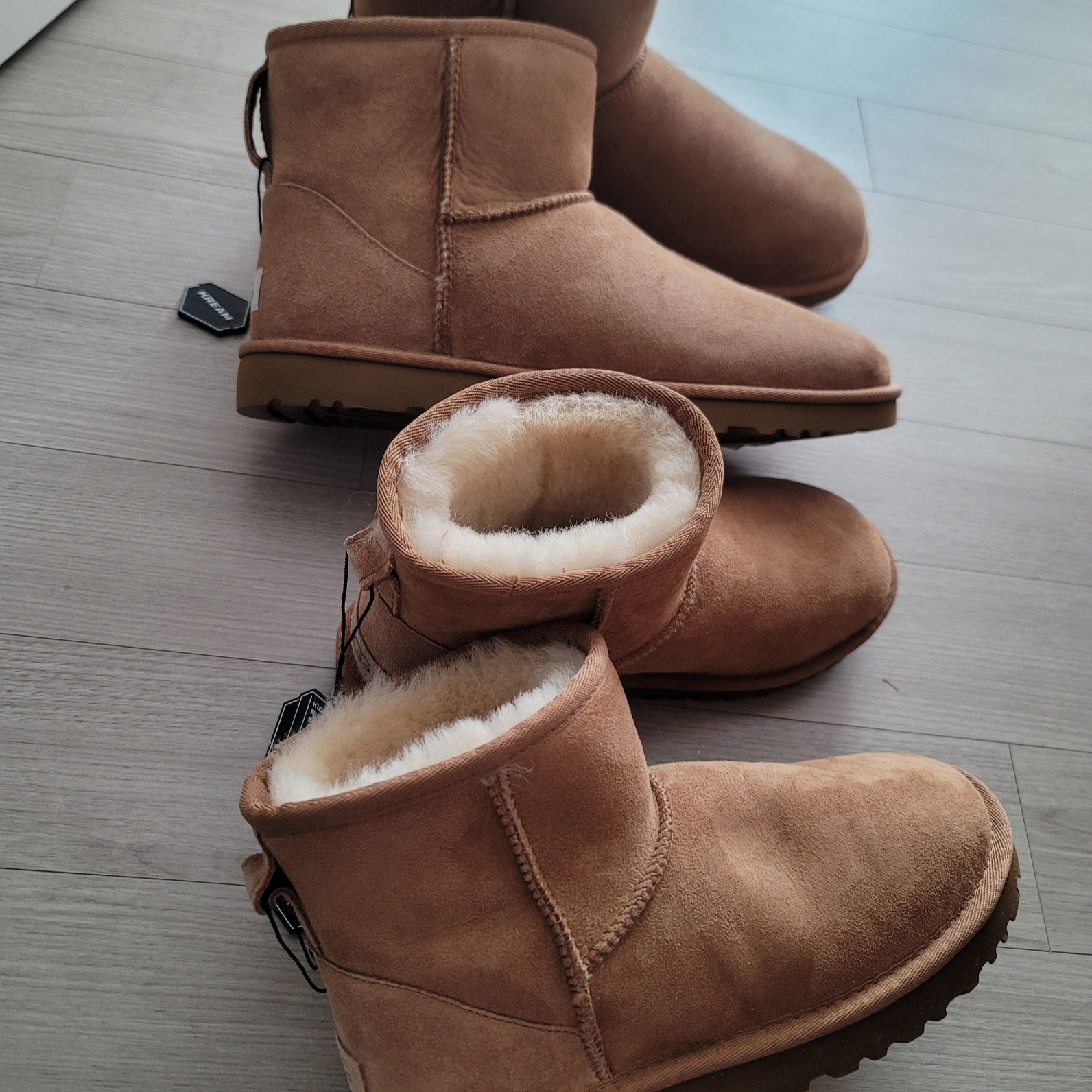 UGG Classic Mini Boots Chestnut, (W) UGG Classic Mini II Boots Chestnut 착용 스타일 - 2
