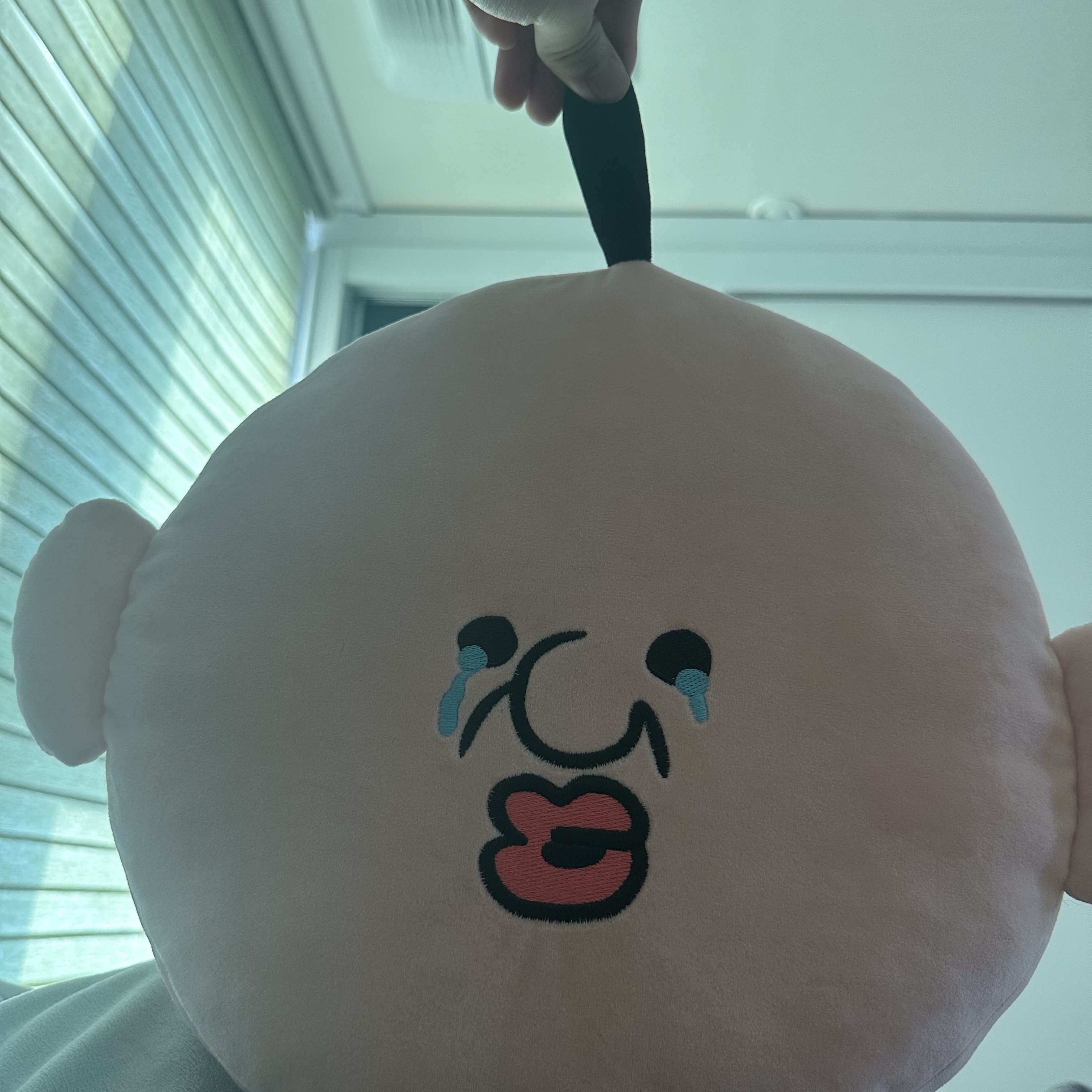 Bbangbbang Cushion 착용 스타일