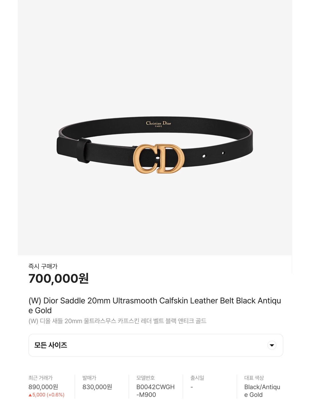(W) Celine Medium Triomphe Belt in Taurillon Leather Black, (W) Hermes Kelly 18 Belt Epsom & Rose Gold Noir 착용 스타일 - 6