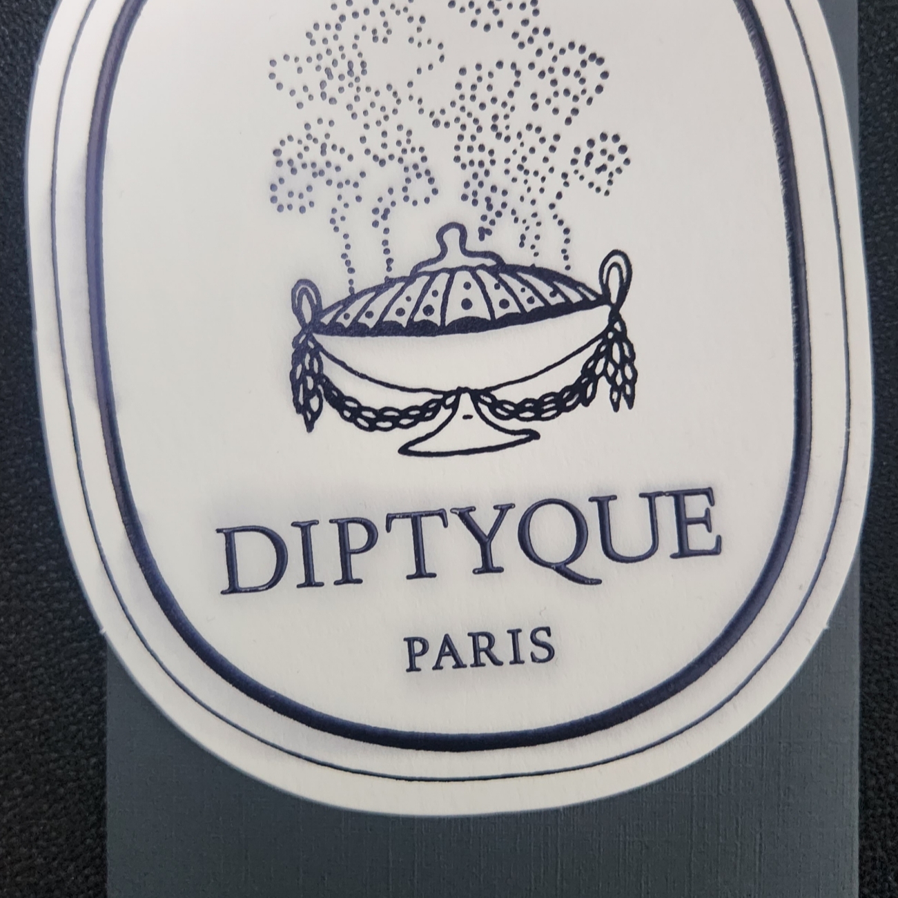Diptyque Car Diffuser Case & Refill Capsule Set Baies 착용 스타일