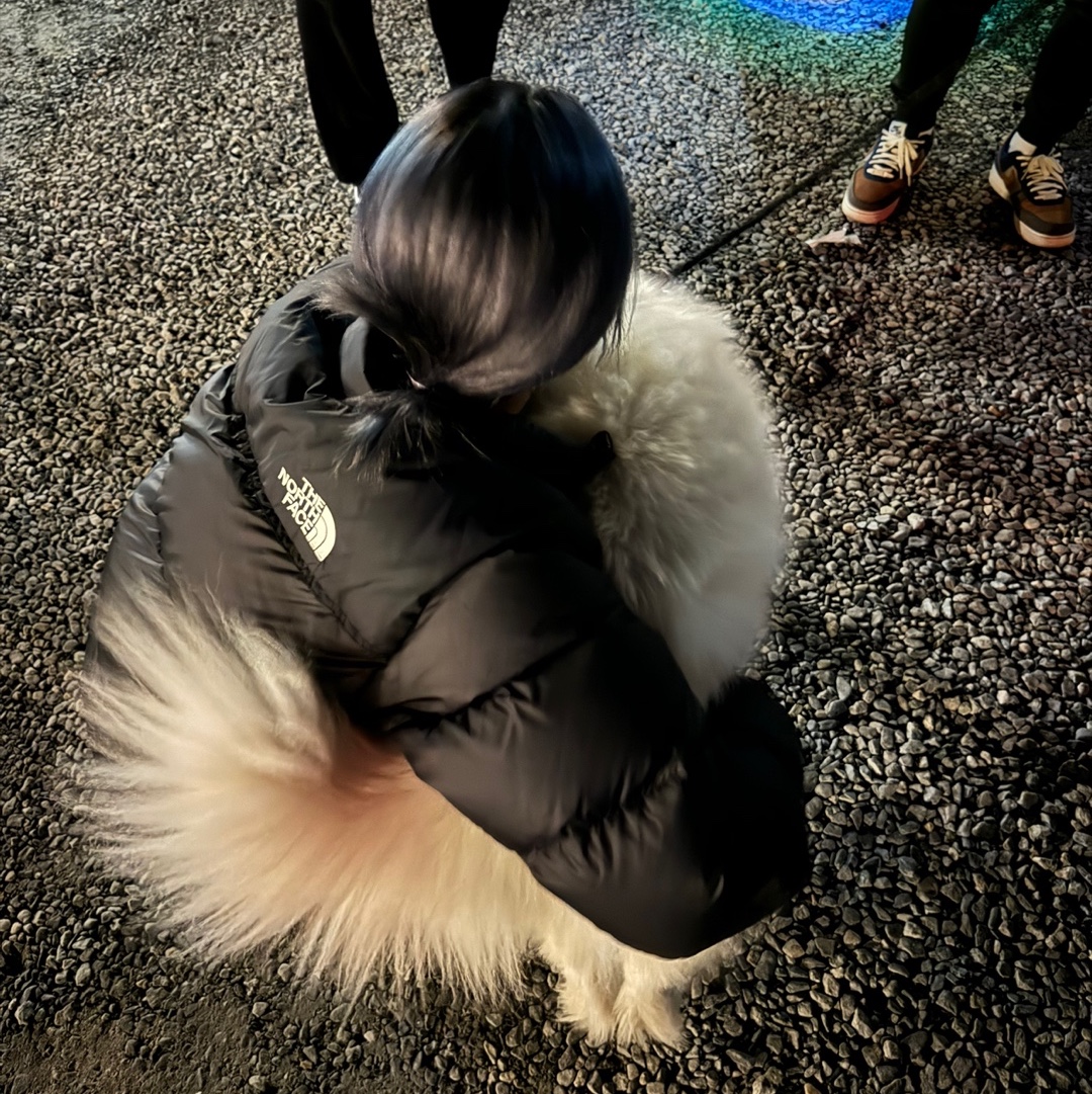 (W) UGG Classic Mini II Boots Chestnut, The North Face 1996 Eco Nuptse Jacket Black 착용 스타일 - 2