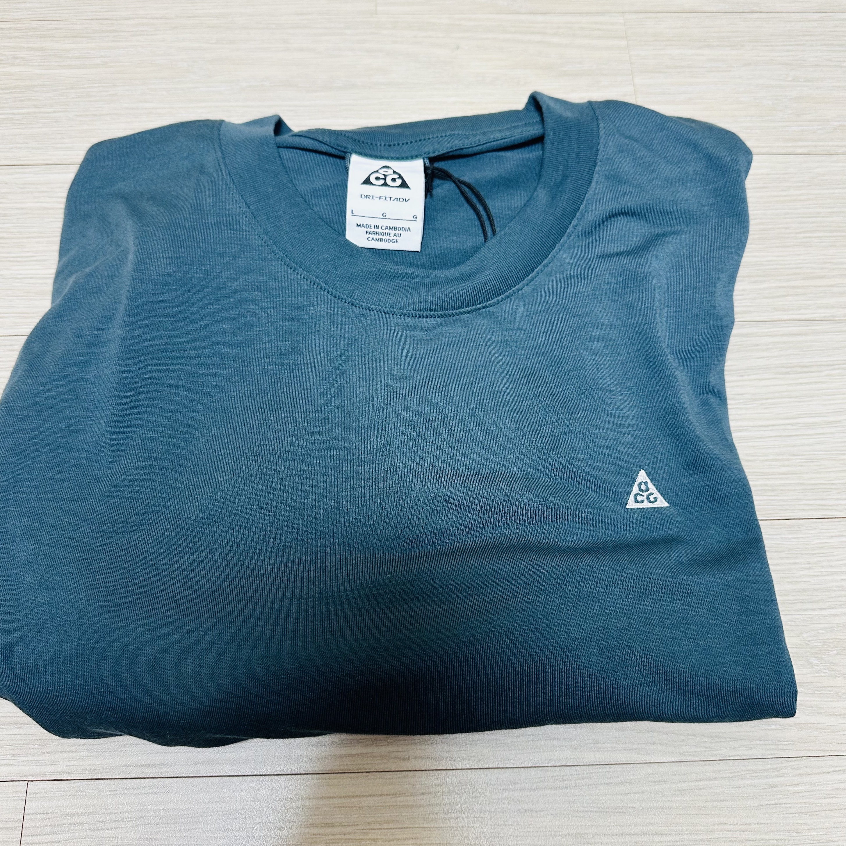 Nike Dri-Fit ACG Goat Rocks Long Sleeve T-Shirt Faded Spruce - US/EU 착용 스타일