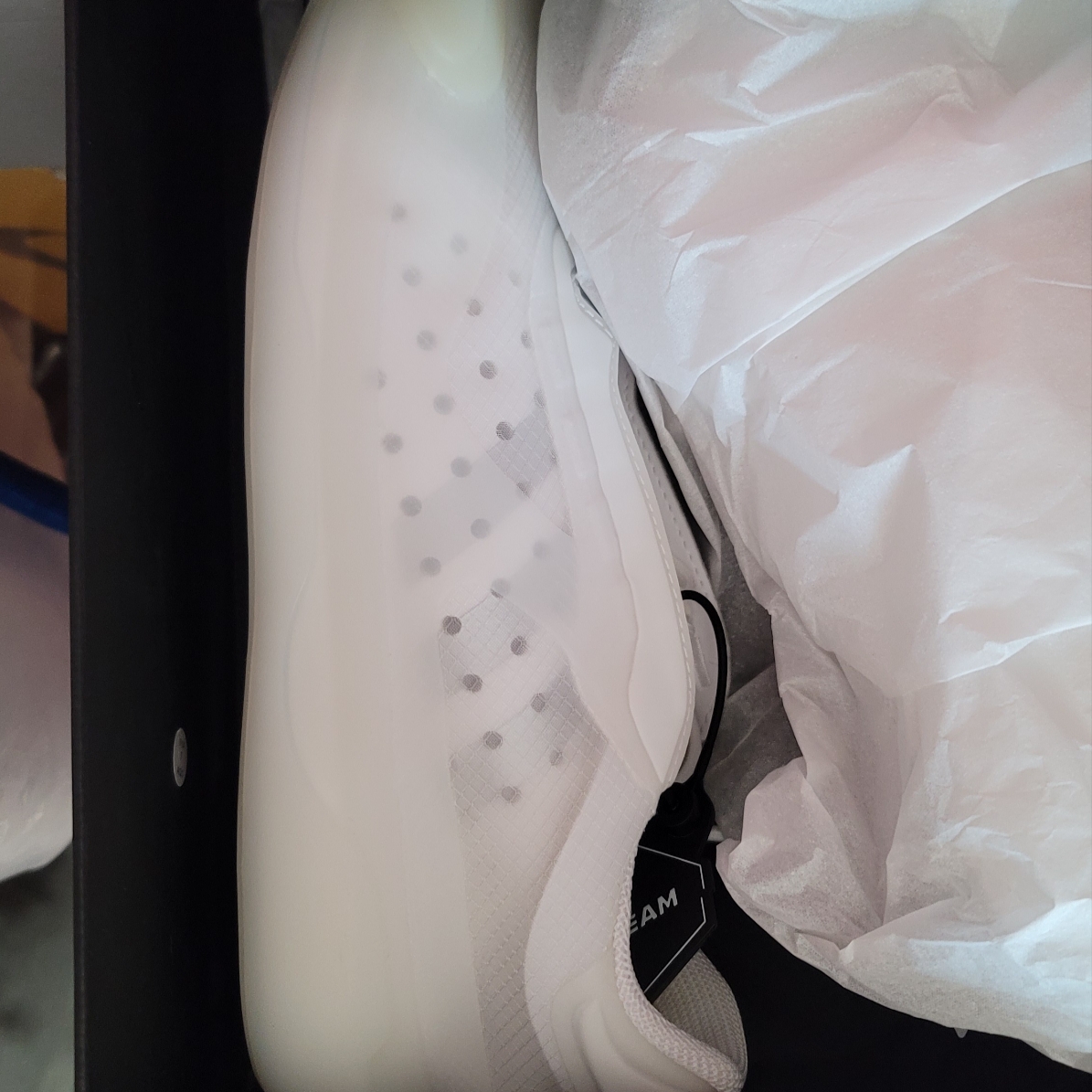 Adidas x Prada A+P Luna Rossa 21 White 착용 스타일
