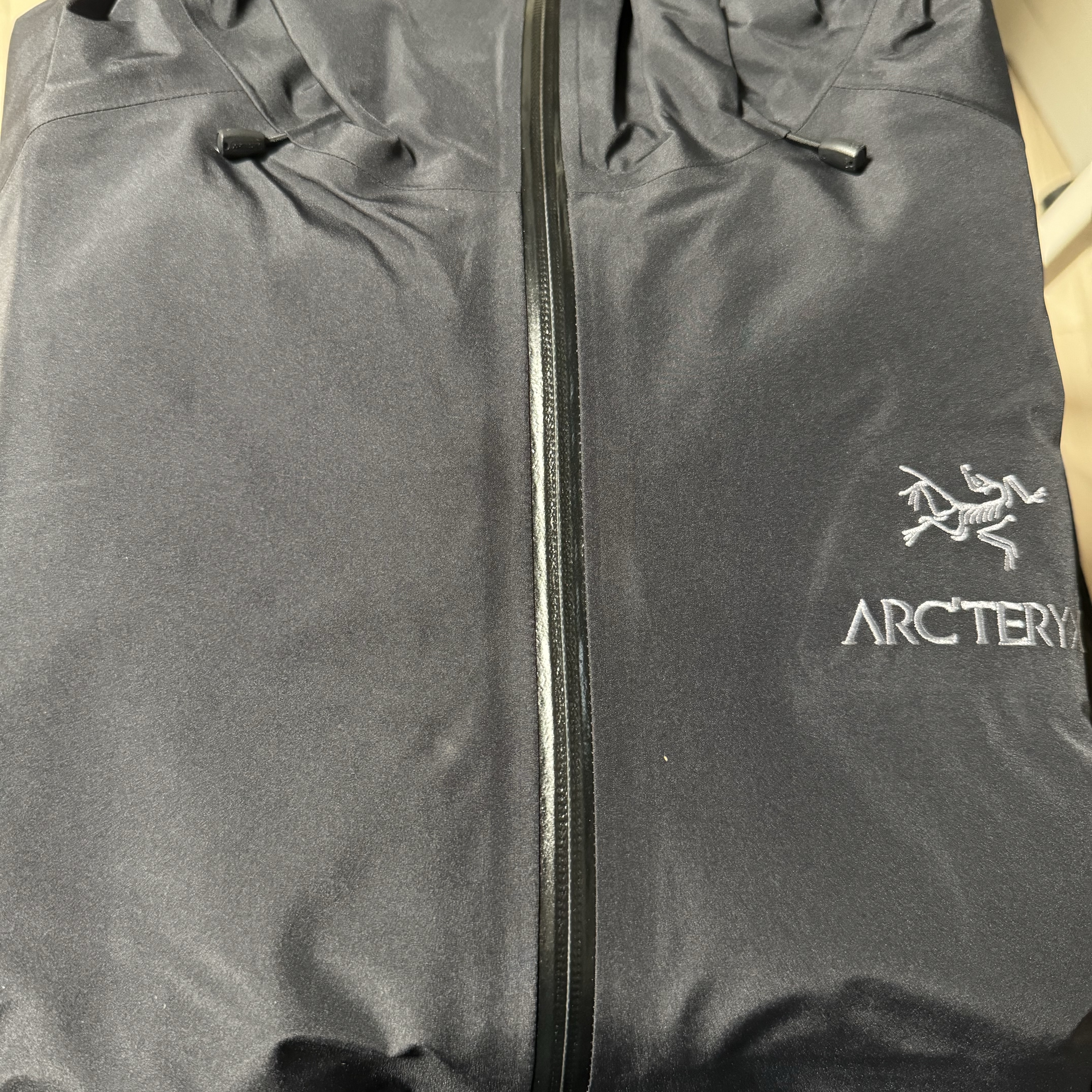 Arc'teryx Beta LT Jacket Black 착용 스타일 - 1