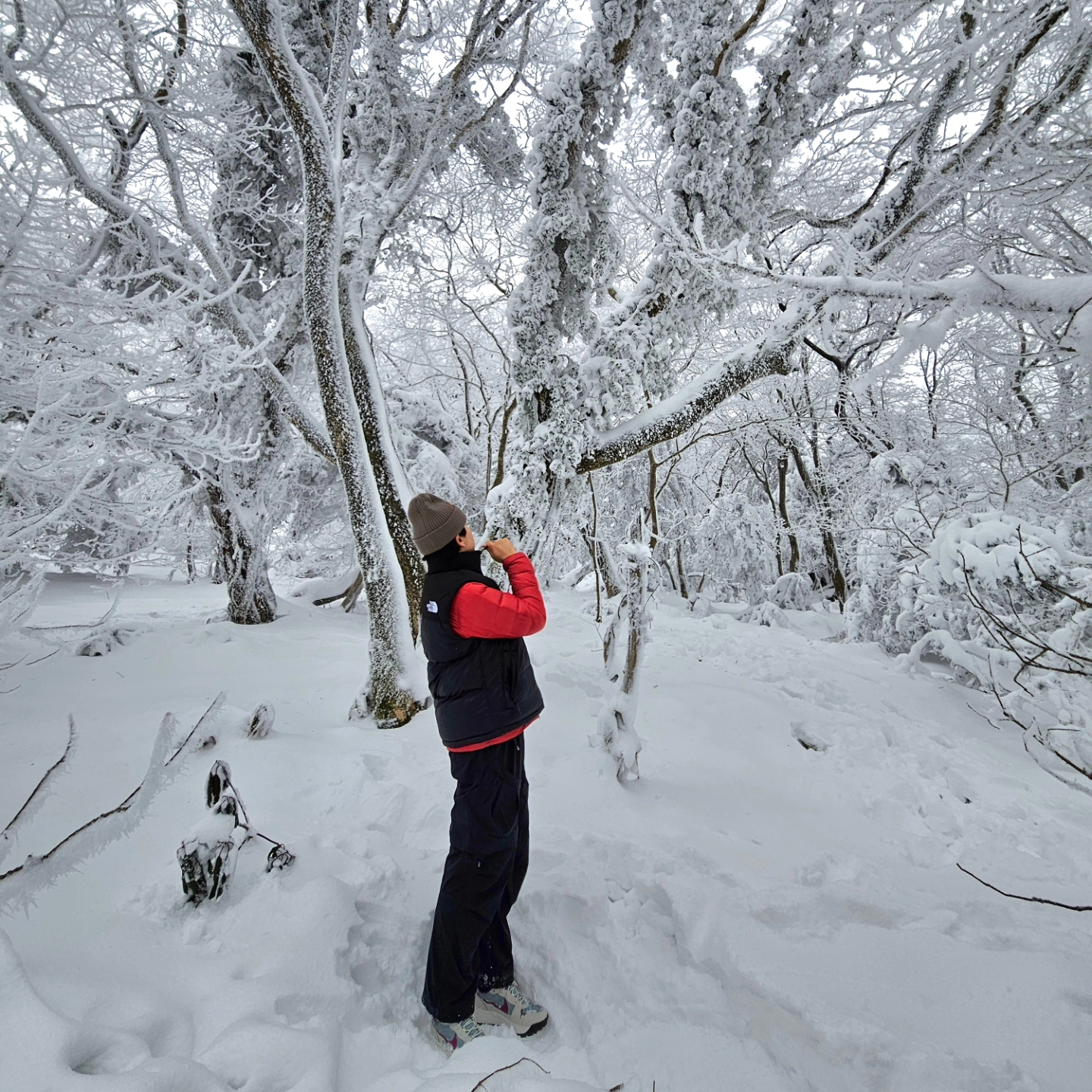 Nike ACG Lowcate Mica Green Light Bone, The North Face Nuptse On Ball Vest Real Black 착용 스타일 - 4