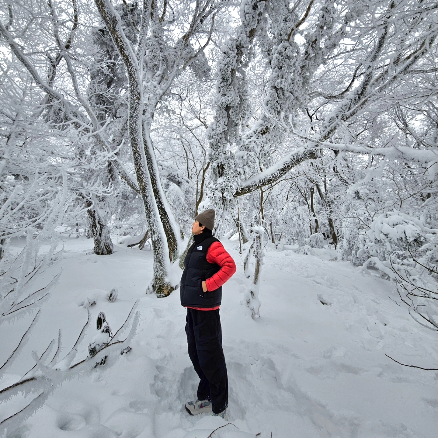 Nike ACG Lowcate Mica Green Light Bone, The North Face Nuptse On Ball Vest Real Black 착용 스타일 - 3