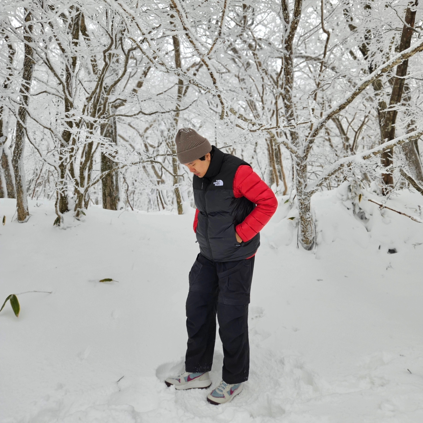 Nike ACG Lowcate Mica Green Light Bone, The North Face Nuptse On Ball Vest Real Black 착용 스타일 - 5