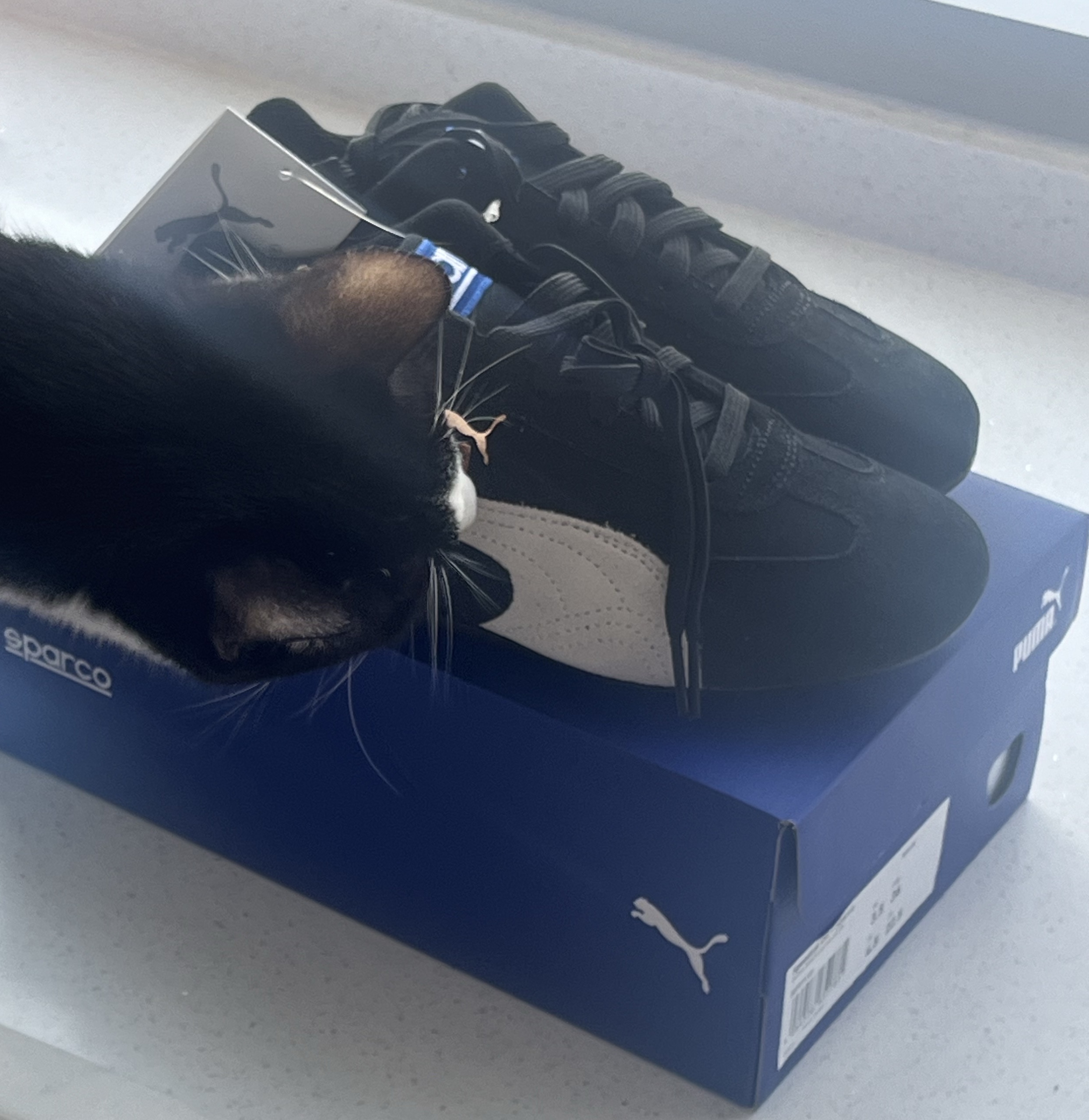Puma Speedcat OG Sparco Black White 착용 스타일 - 2