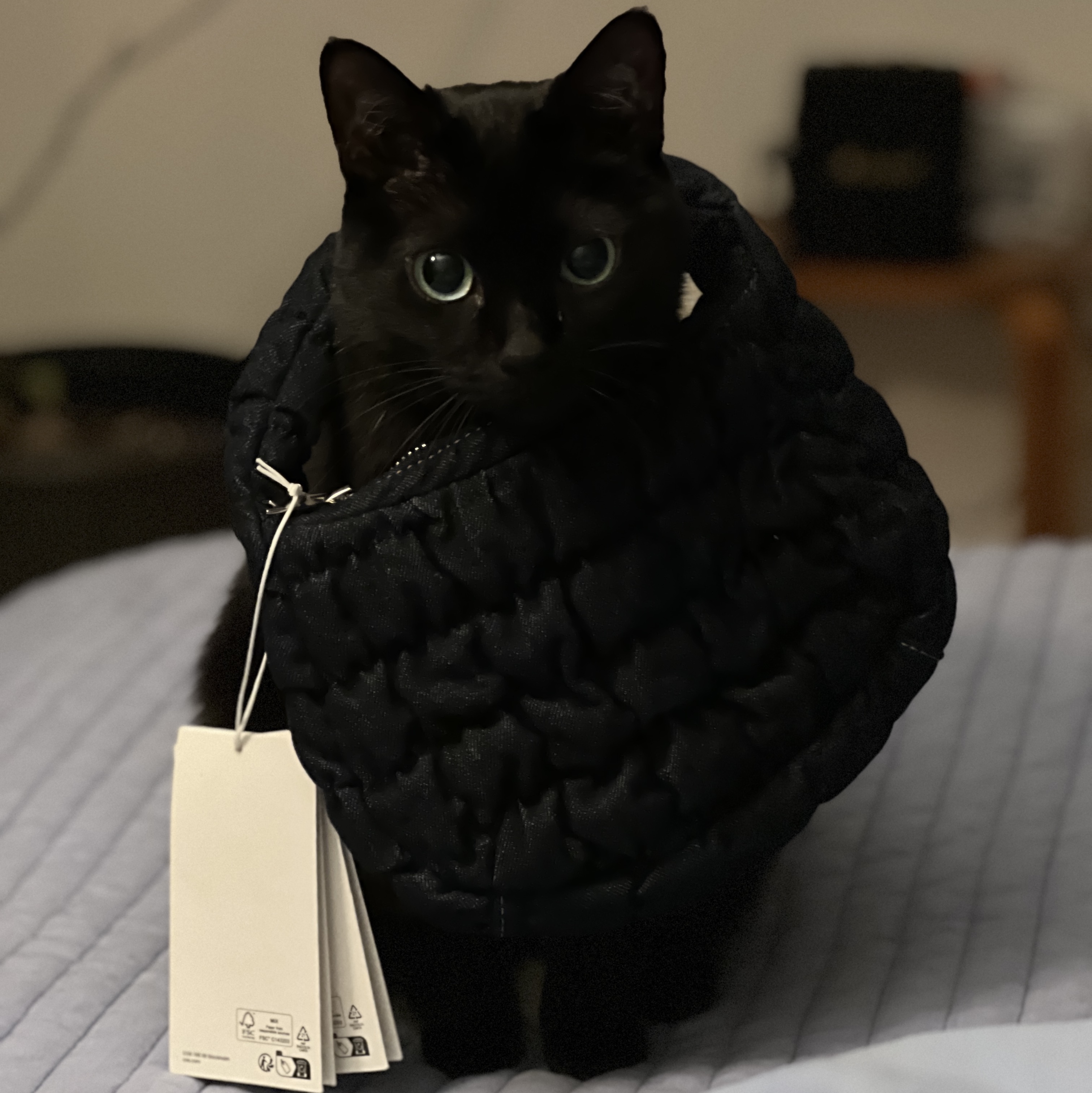 COS Quilted Micro Bag Dark Blue Denim 착용 스타일