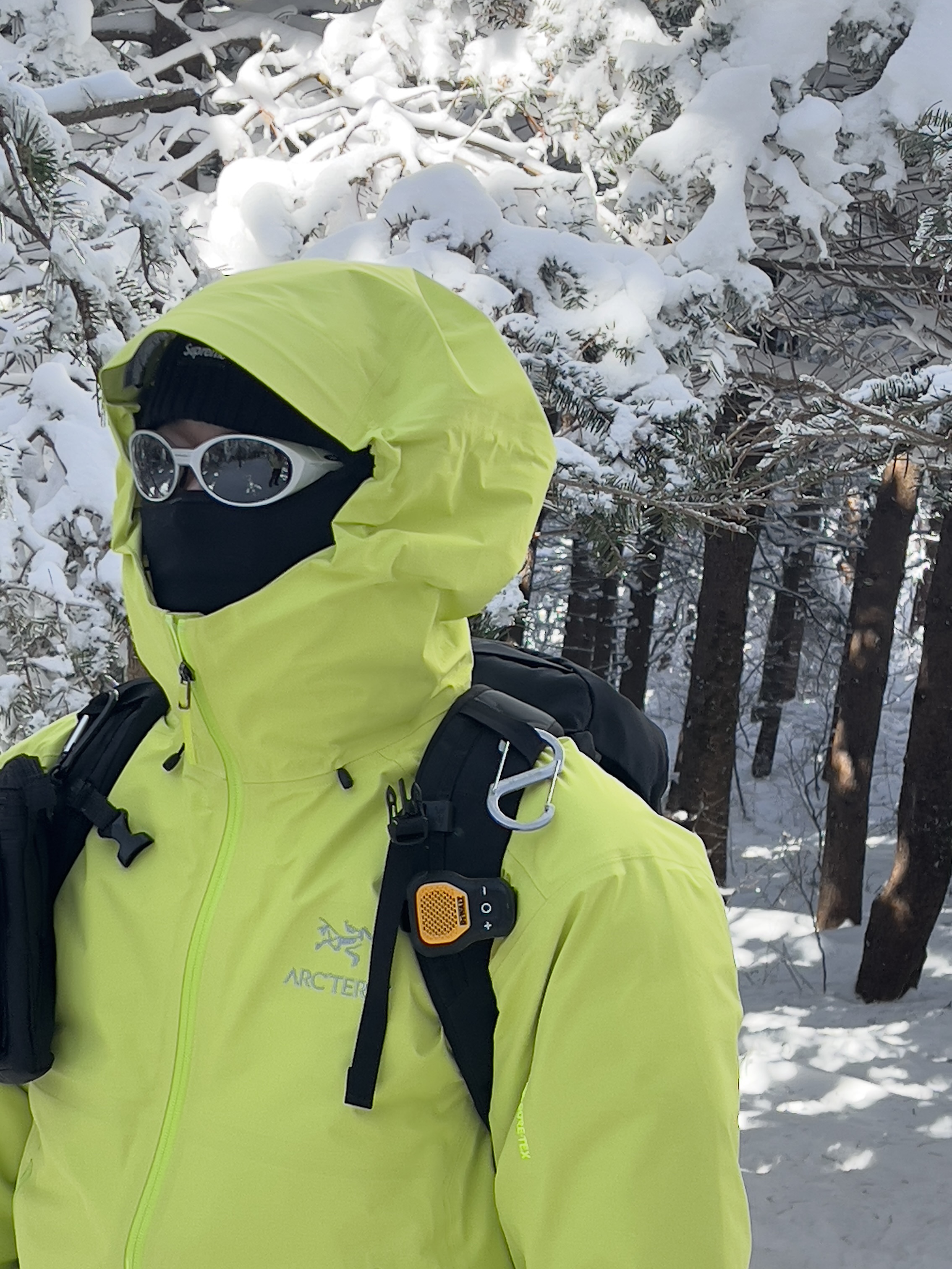 Supreme Overdyed Beanie Black, Arc'teryx Beta LT Jacket Offlime 착용 스타일 - 3
