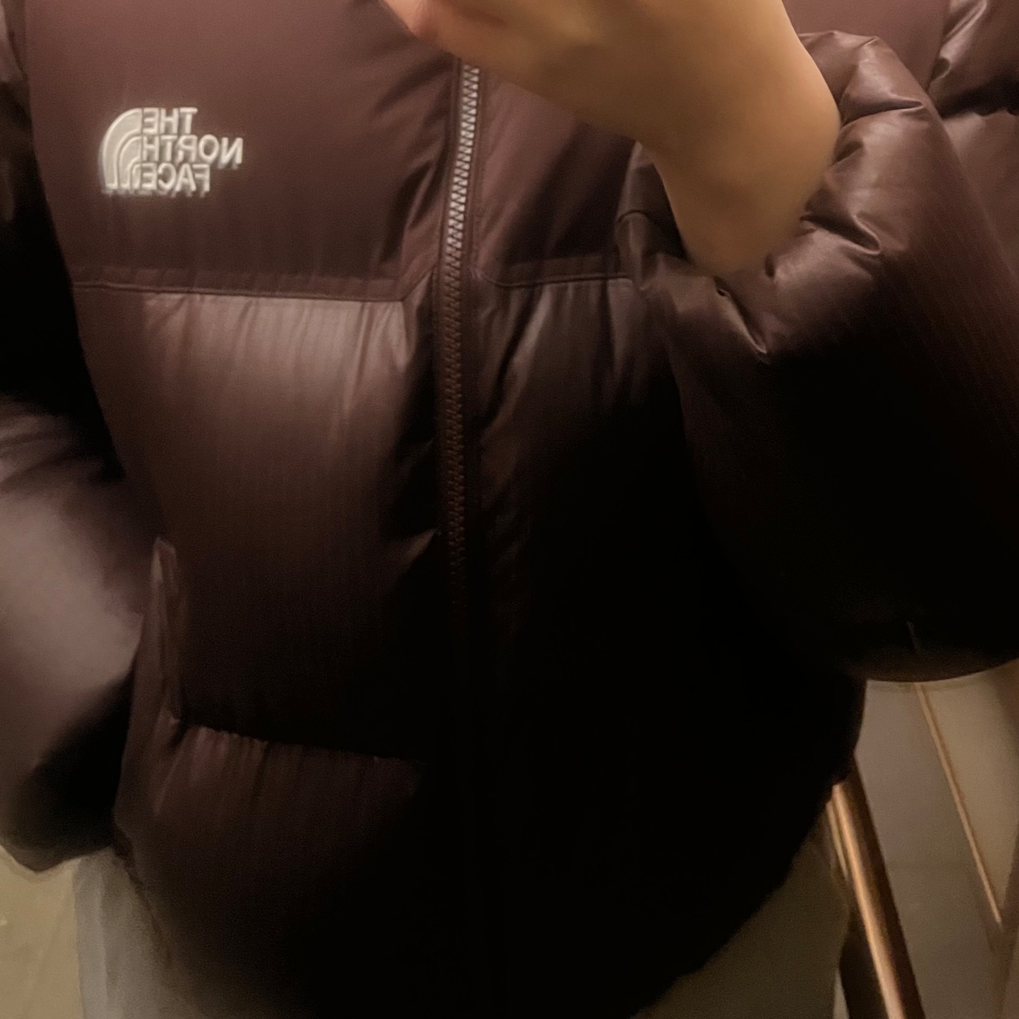 (W) The North Face White Label Novelty Nuptse Down Jacket Cocoa Brown 착용 스타일