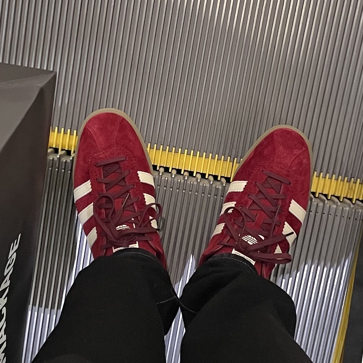 Adidas Bermuda College Burgundy 착용 스타일 - 2