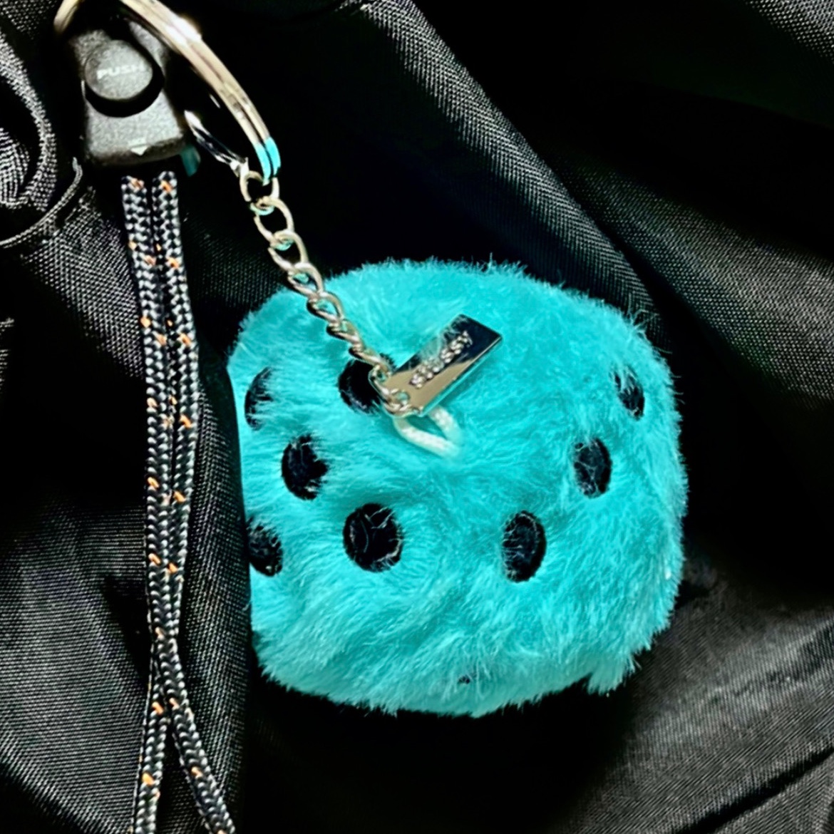 Stussy Fuzzy Dice Keychain Teal 착용 스타일