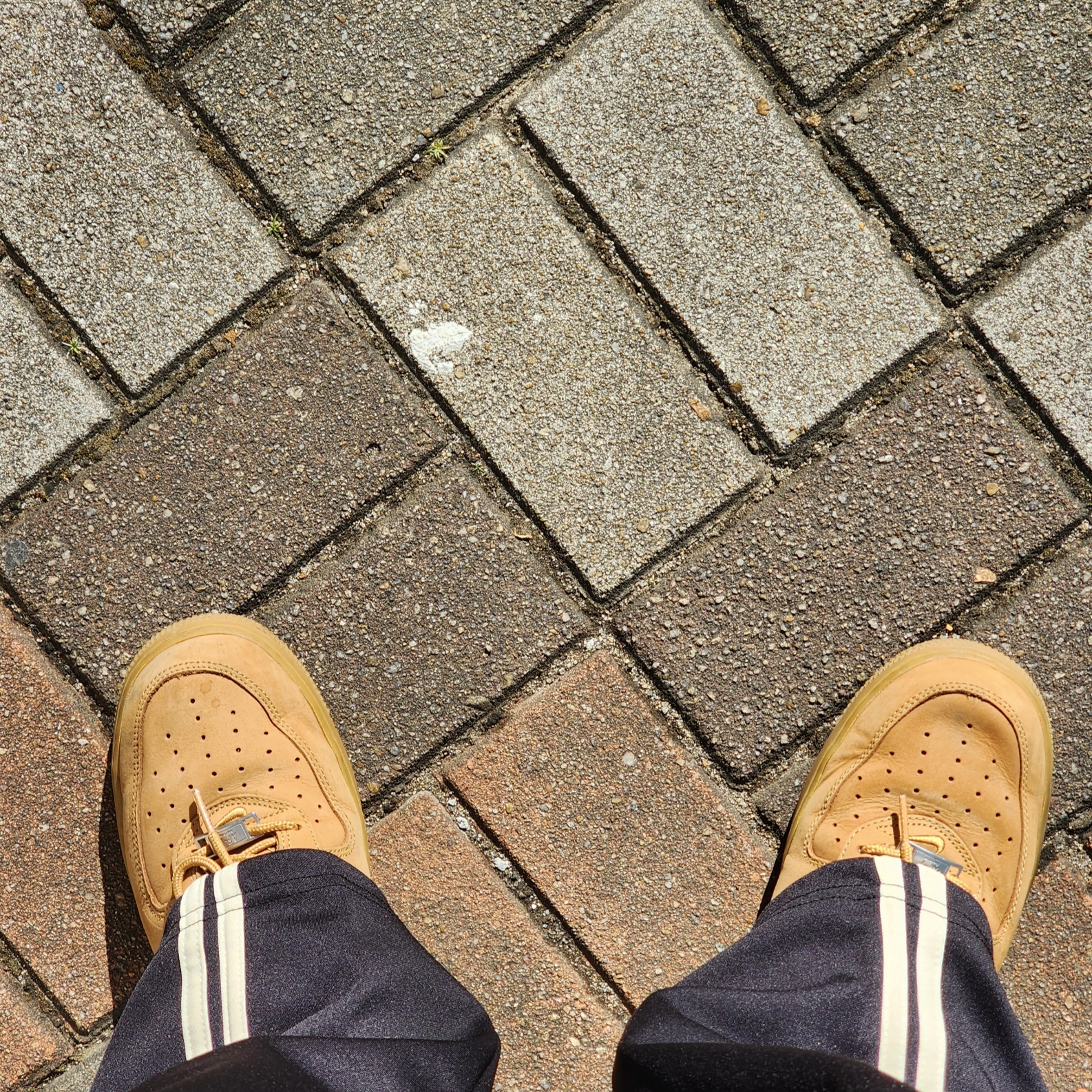 Nike x Supreme Air Force 1 Low Flax 착용 스타일
