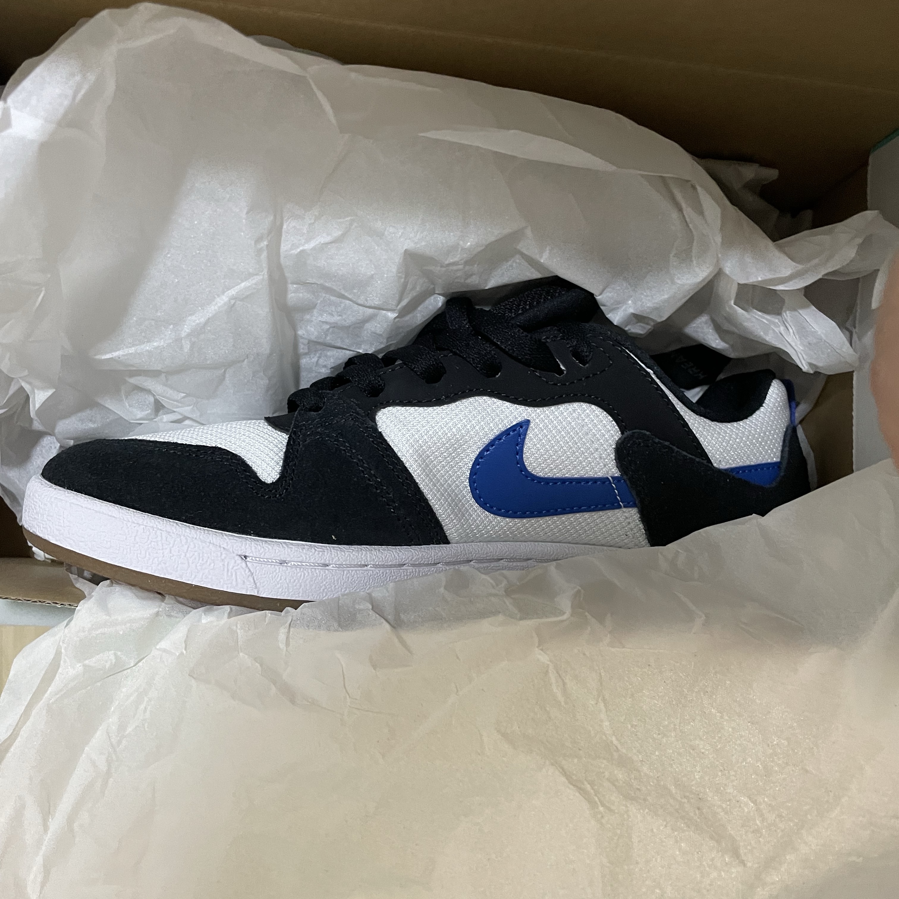Nike SB Alleyoop White Team Royal 착용 스타일