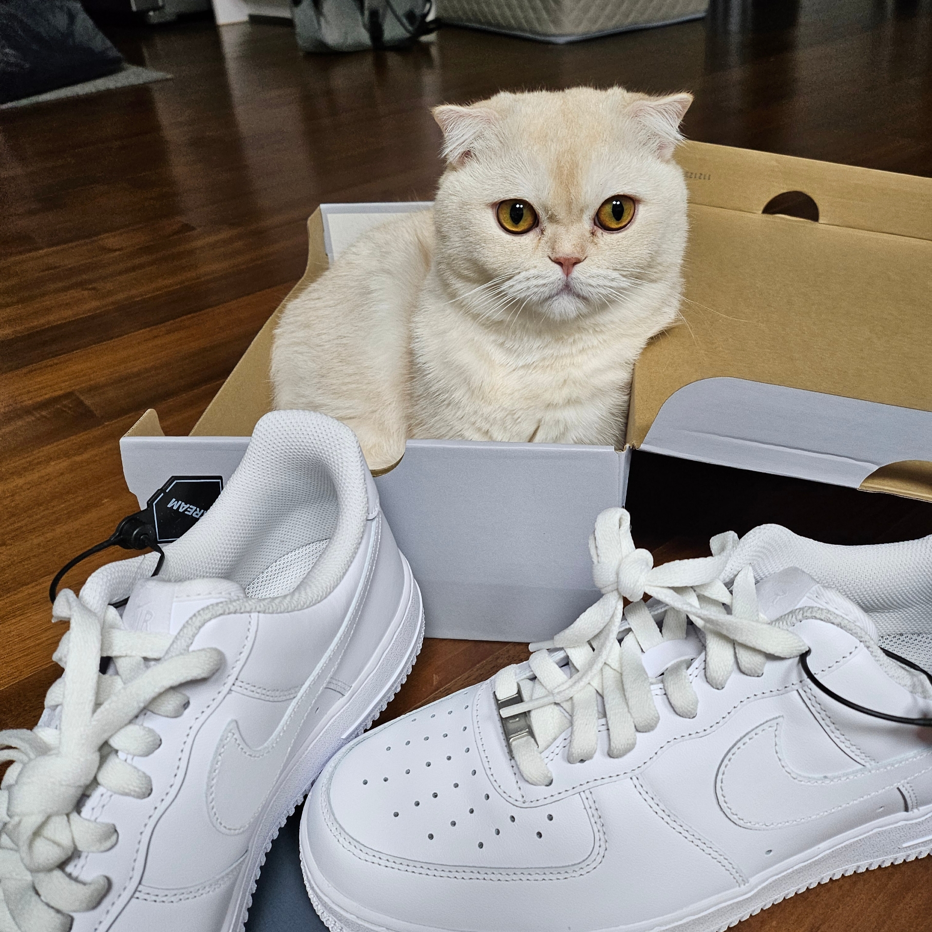 Nike Air Force 1 '07 Low White 착용 스타일 - 2