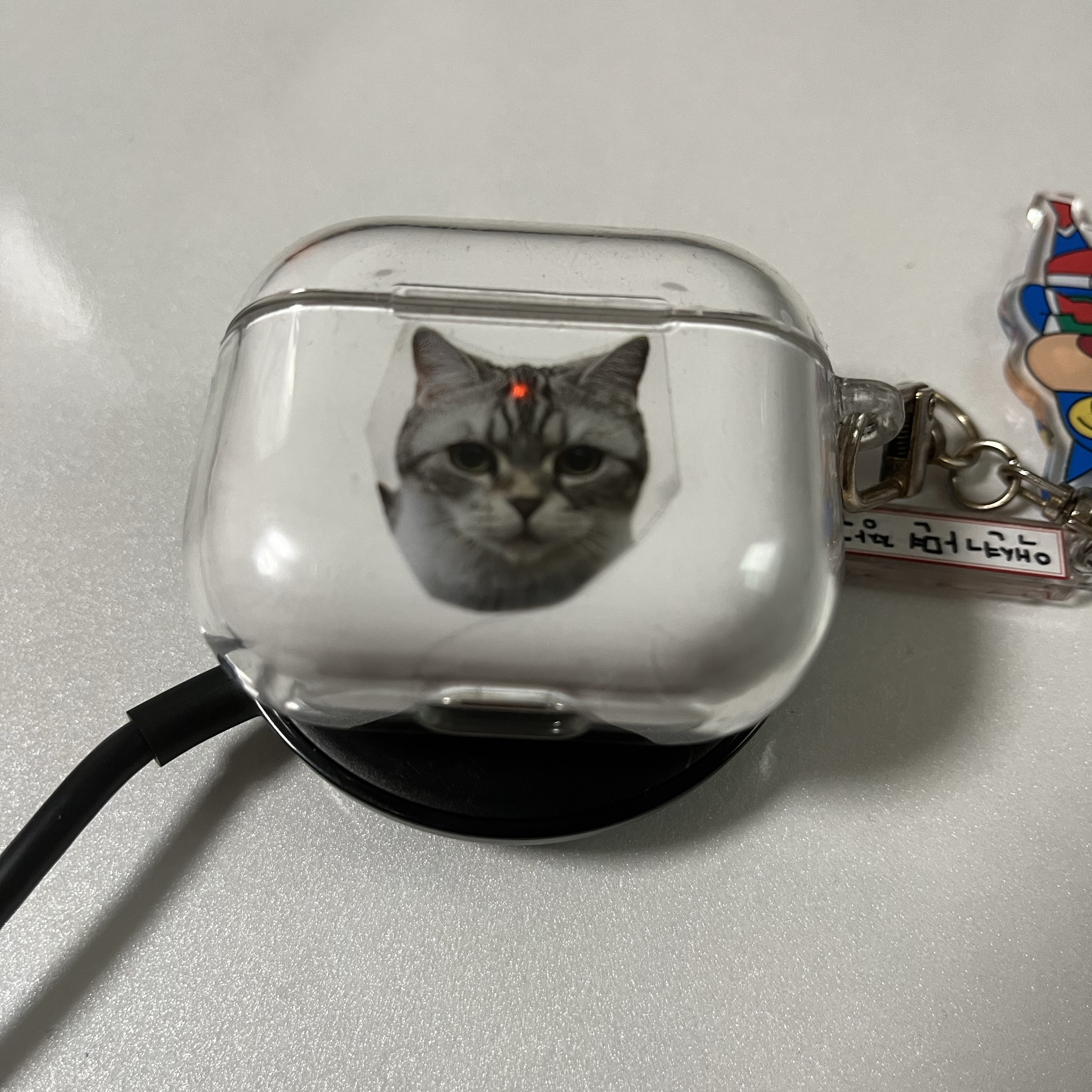 Apple Airpods 3rd Gen with MagSafe Charging Case (Korean Ver.) 착용 스타일
