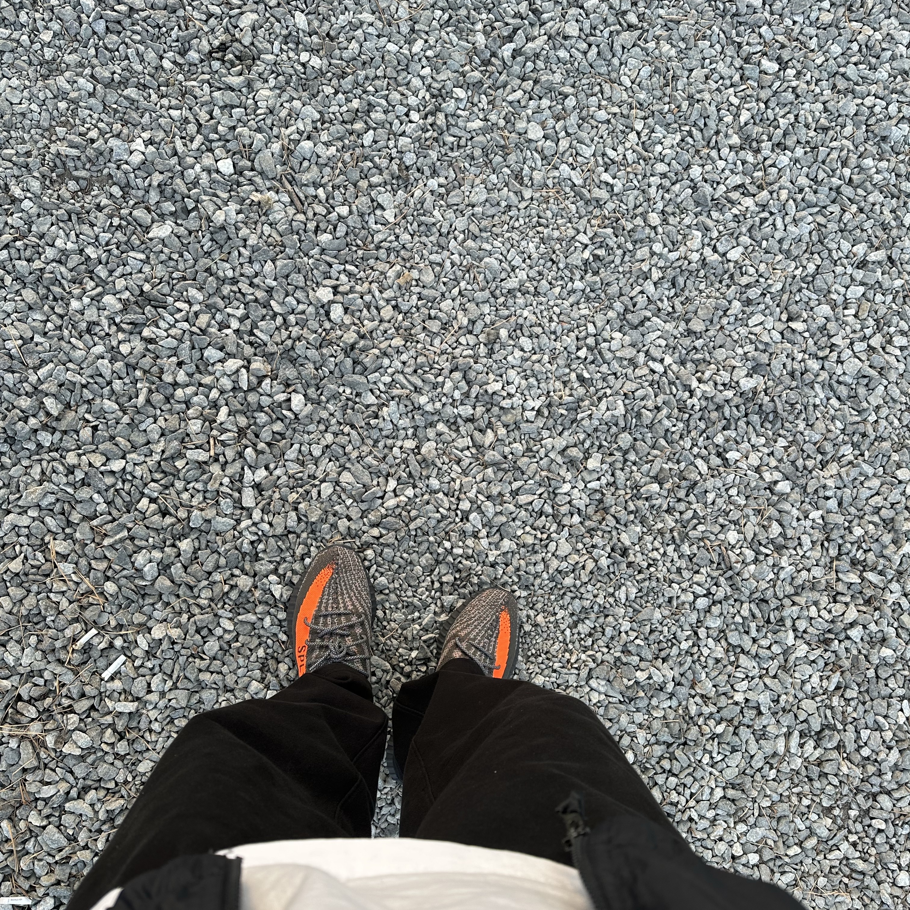 Adidas Yeezy Boost 350 V2 Carbon Beluga 착용 스타일