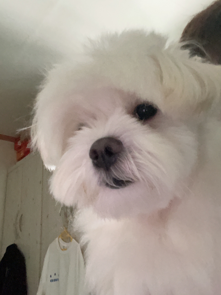 관심 유저 프로필 이미지