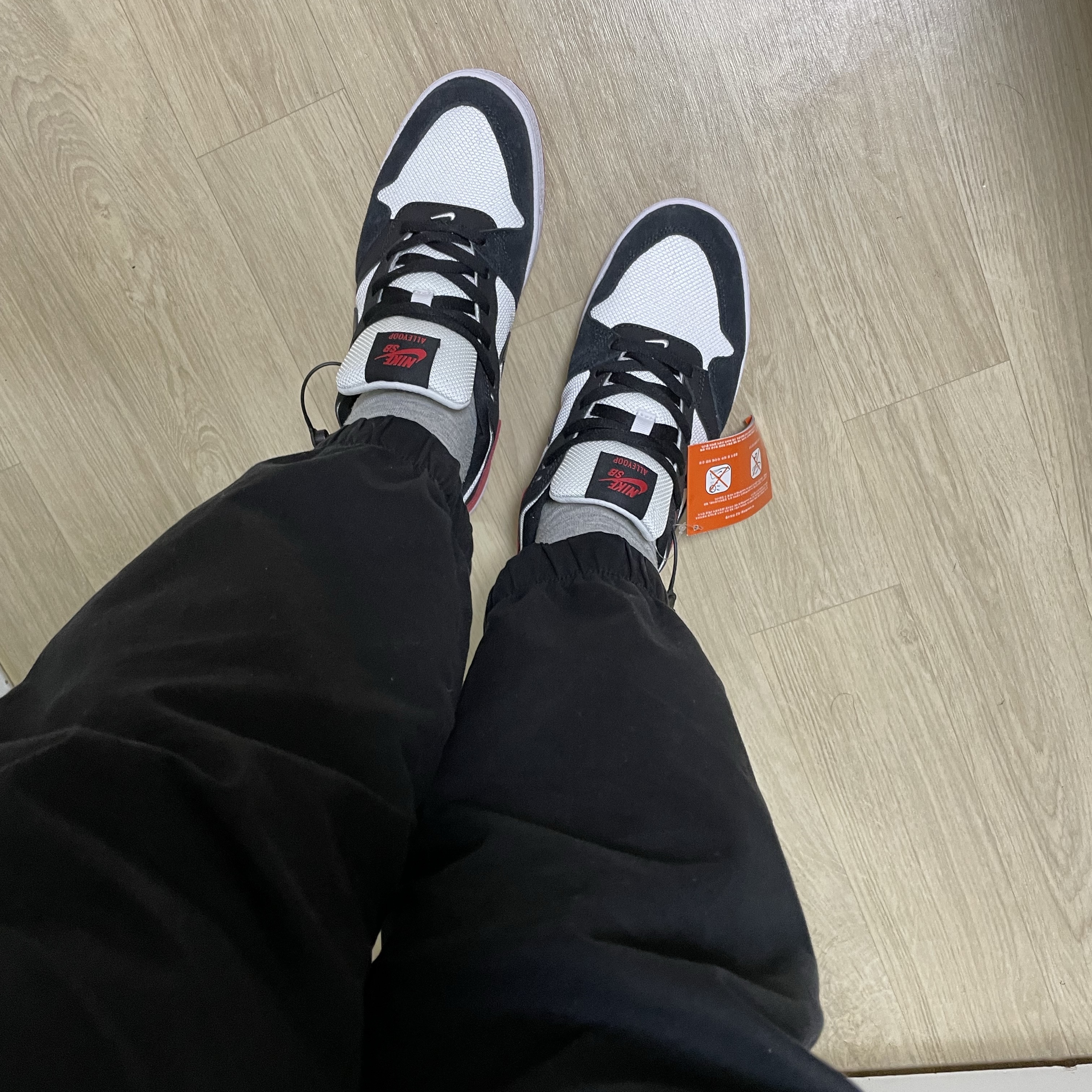 Nike SB Alleyoop University Red 착용 스타일