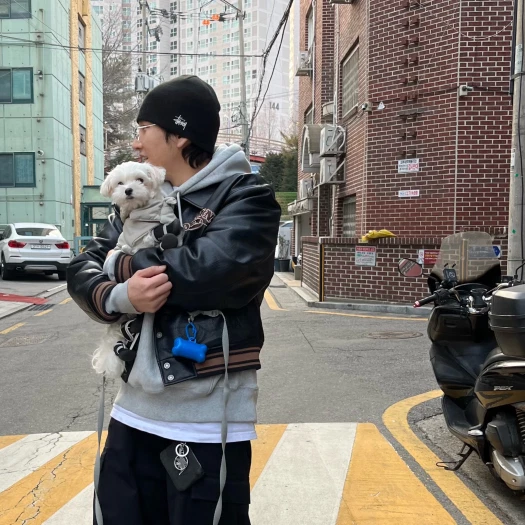스타일 카드