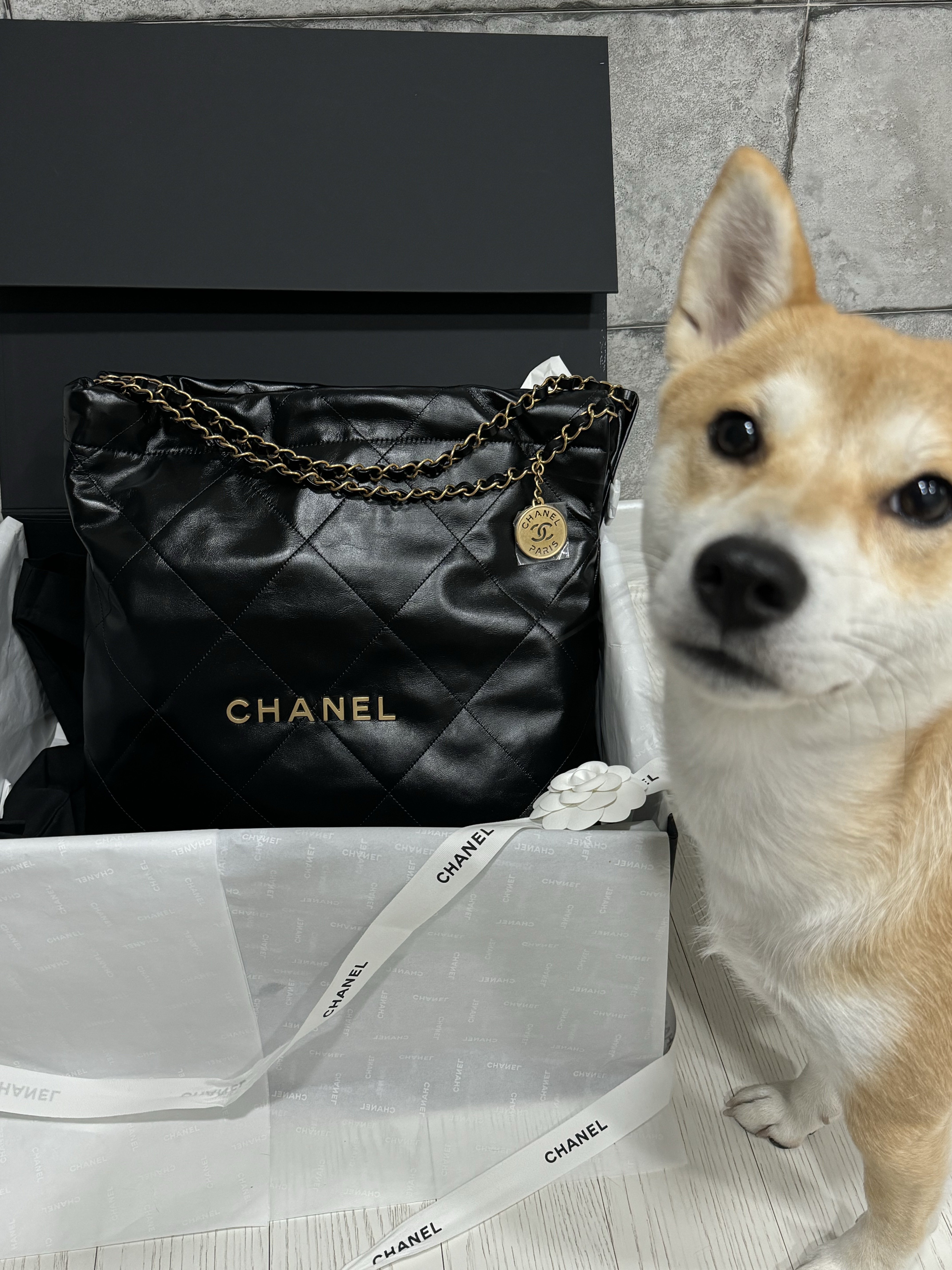 Chanel 22 Medium Handbag Shiny Calfskin & Gold Black 착용 스타일 - 1