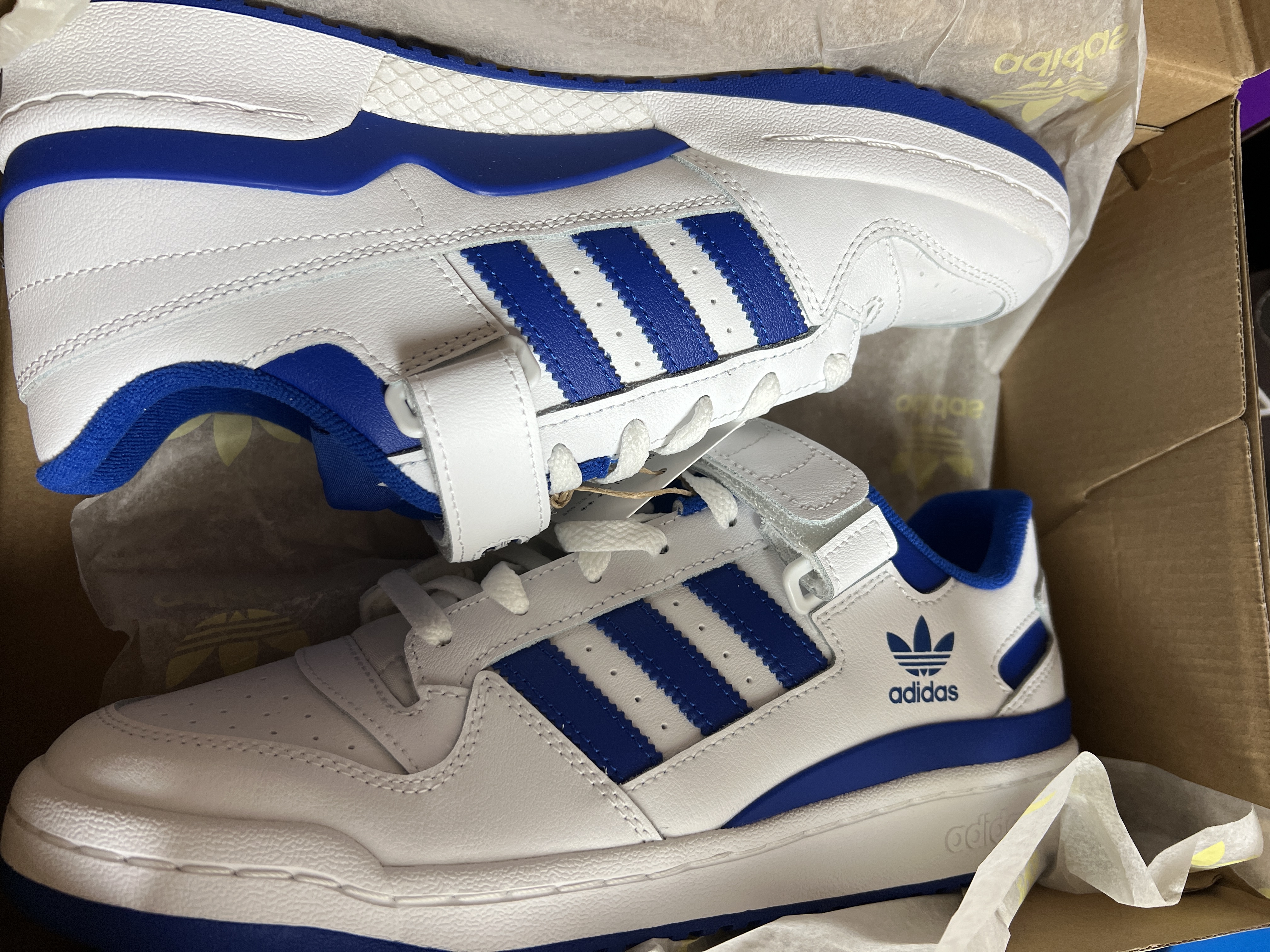 Adidas Forum Low White Royal Blue 착용 스타일
