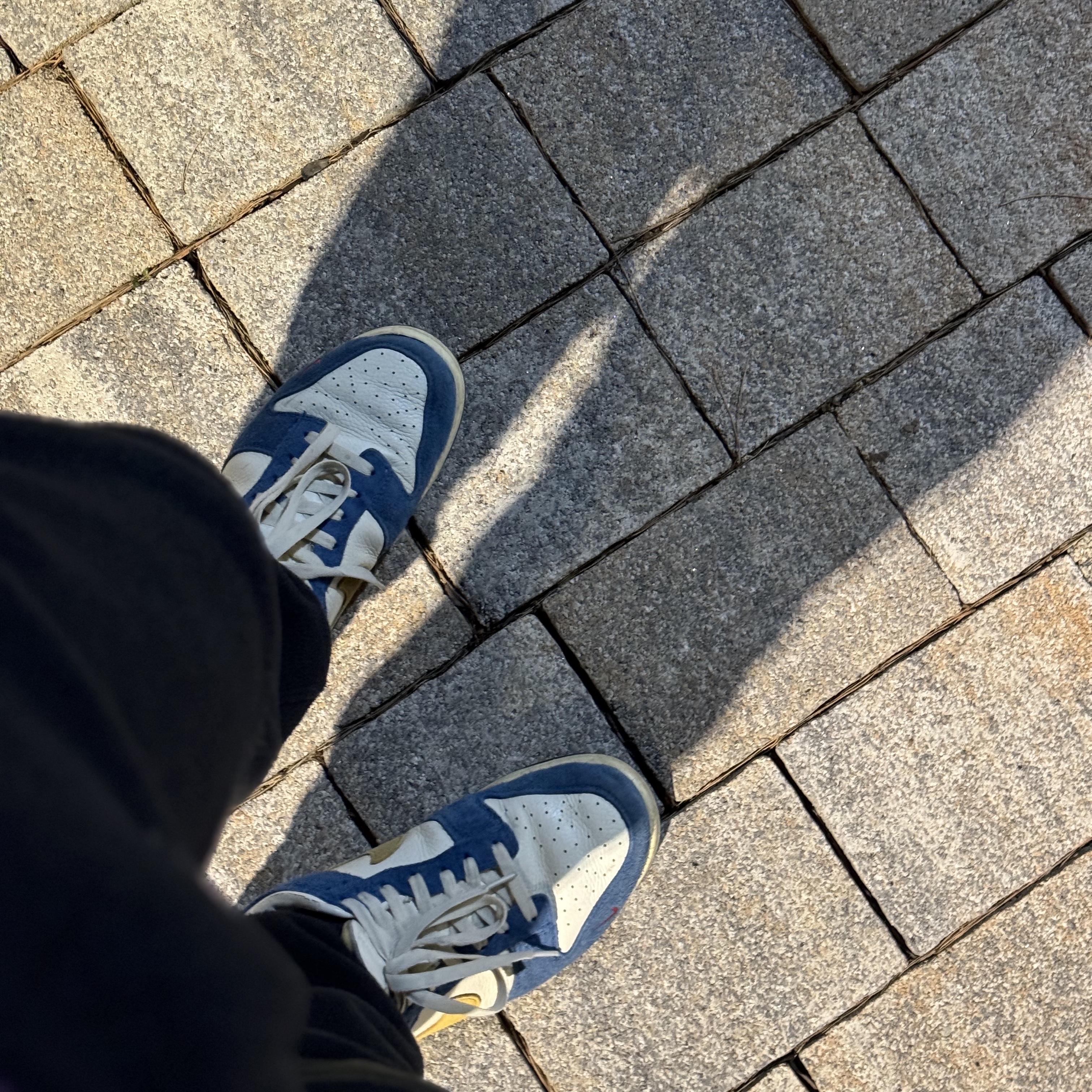 Nike x Kasina Dunk Low 80's Bus 착용 스타일