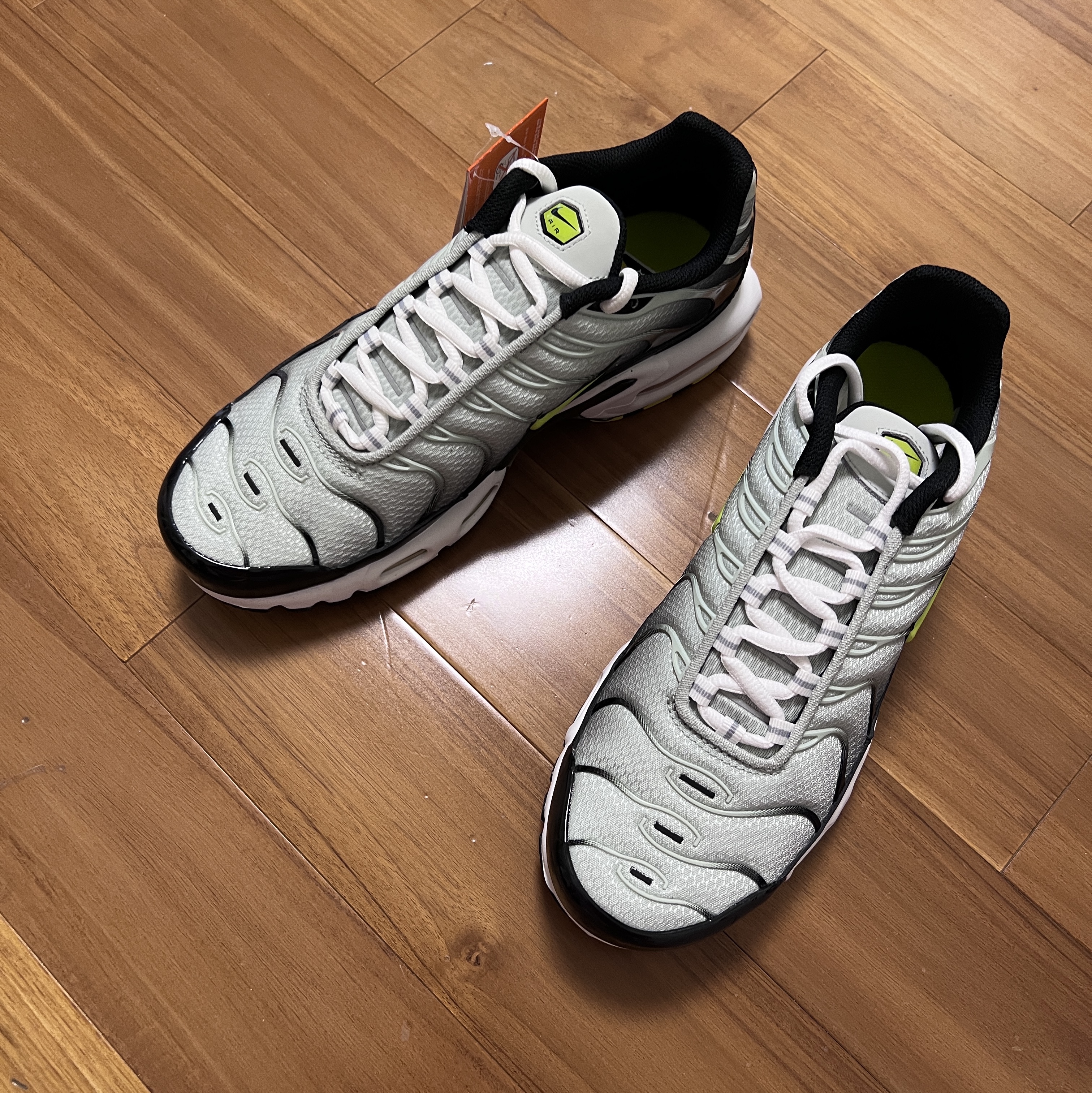 Nike Air Max Plus Black Bright Cactus 착용 스타일