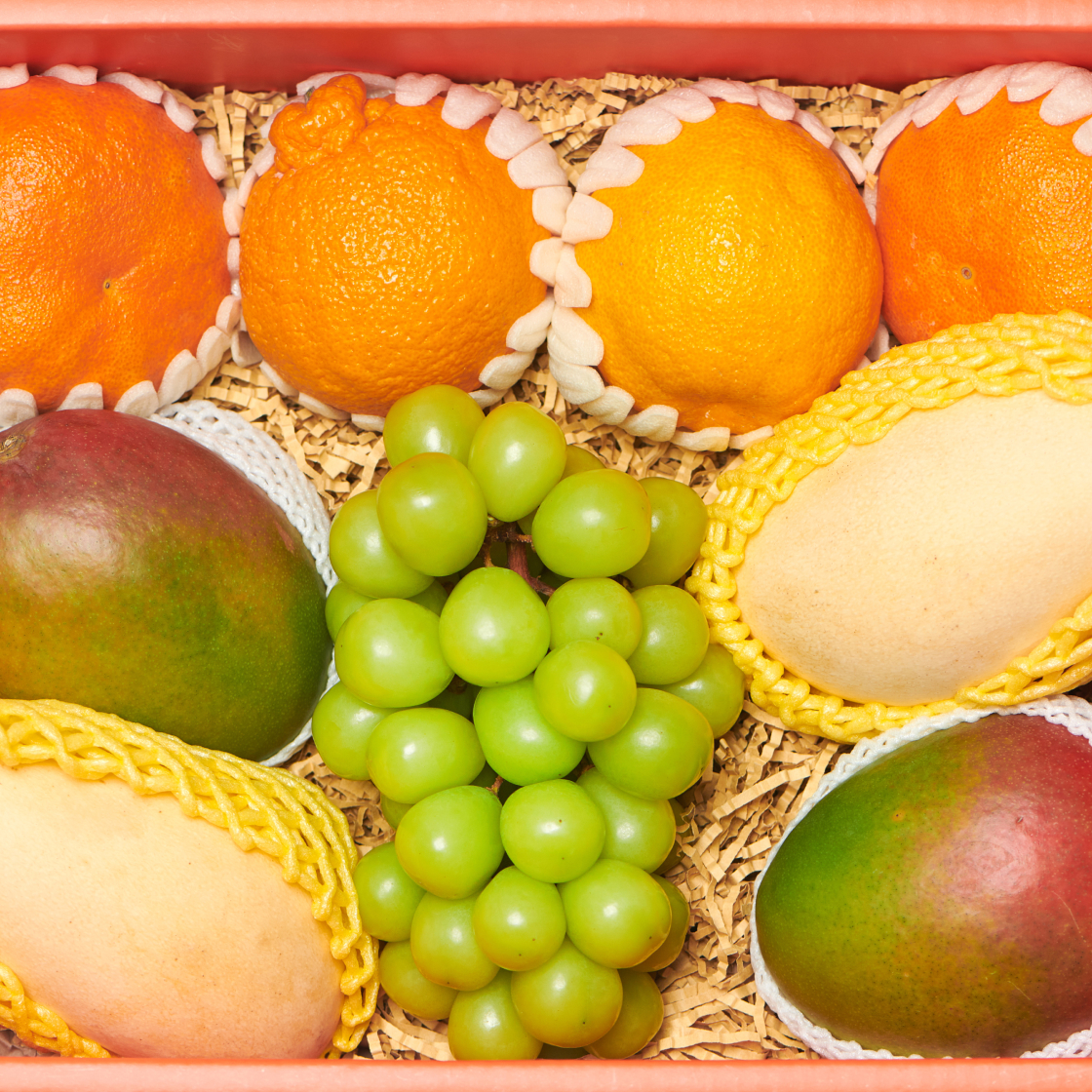 더현대 청과 기프트 박스 (핸드캐리)(THE HYUNDAI GIFT BOX (Hand Carry)) - 1